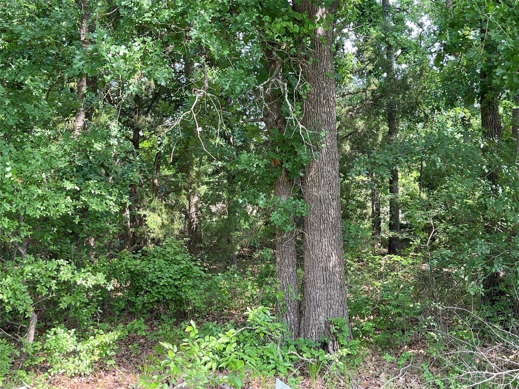 West Tawakoni, TX 75474,Lot 1KA Dover Drive