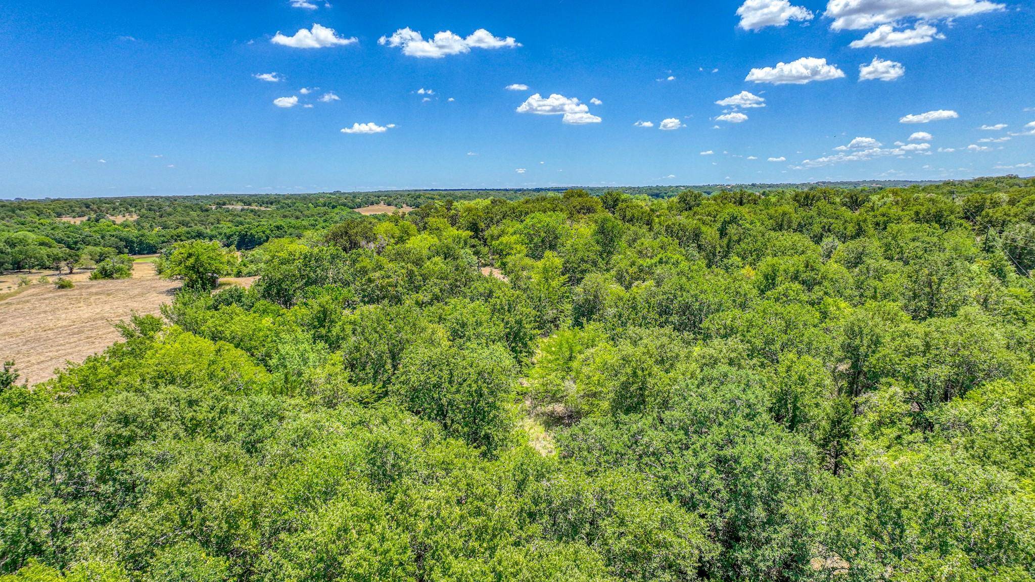 Paradise, TX 76073,TBD 10 County Road 3679