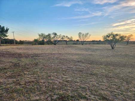 Gunter, TX 75058,Lot 1 Block Road