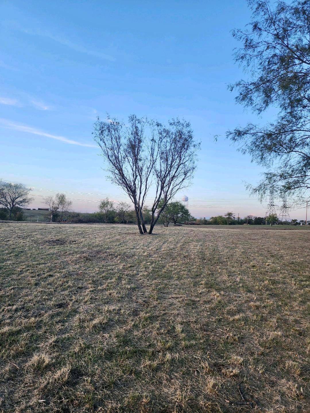 Gunter, TX 75058,Lot 1 Block Road