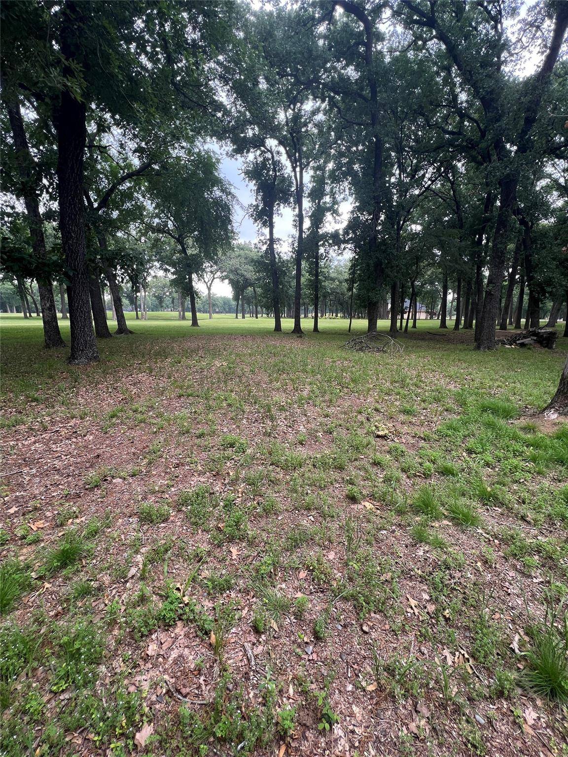 Mabank, TX 75156,Lot # 478 Saint Andrews Drive