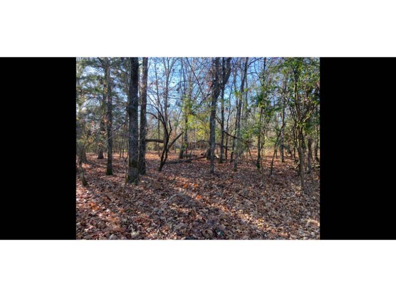 Athens, TX 75752,Lot 551,552,553 Neches Drive