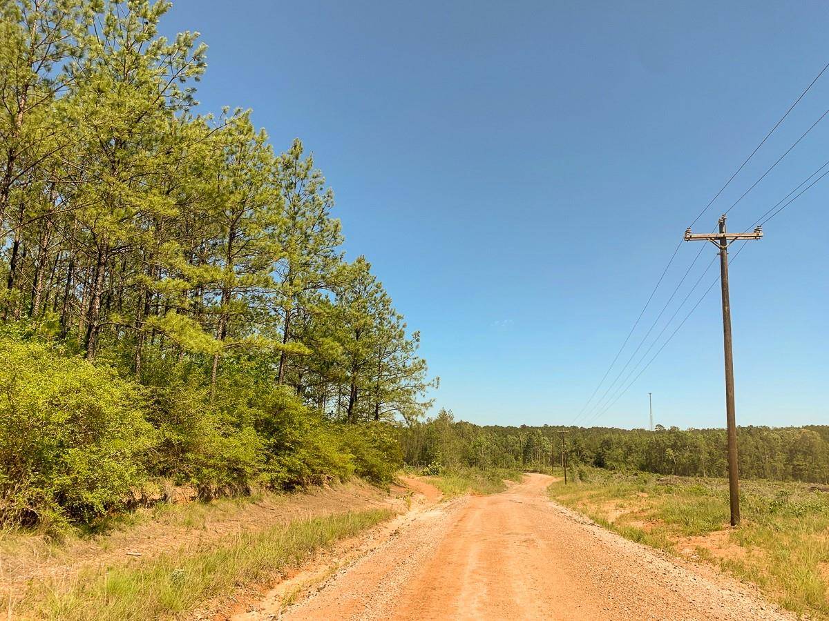 Colmesneil, TX 75938,00000 CR 3910