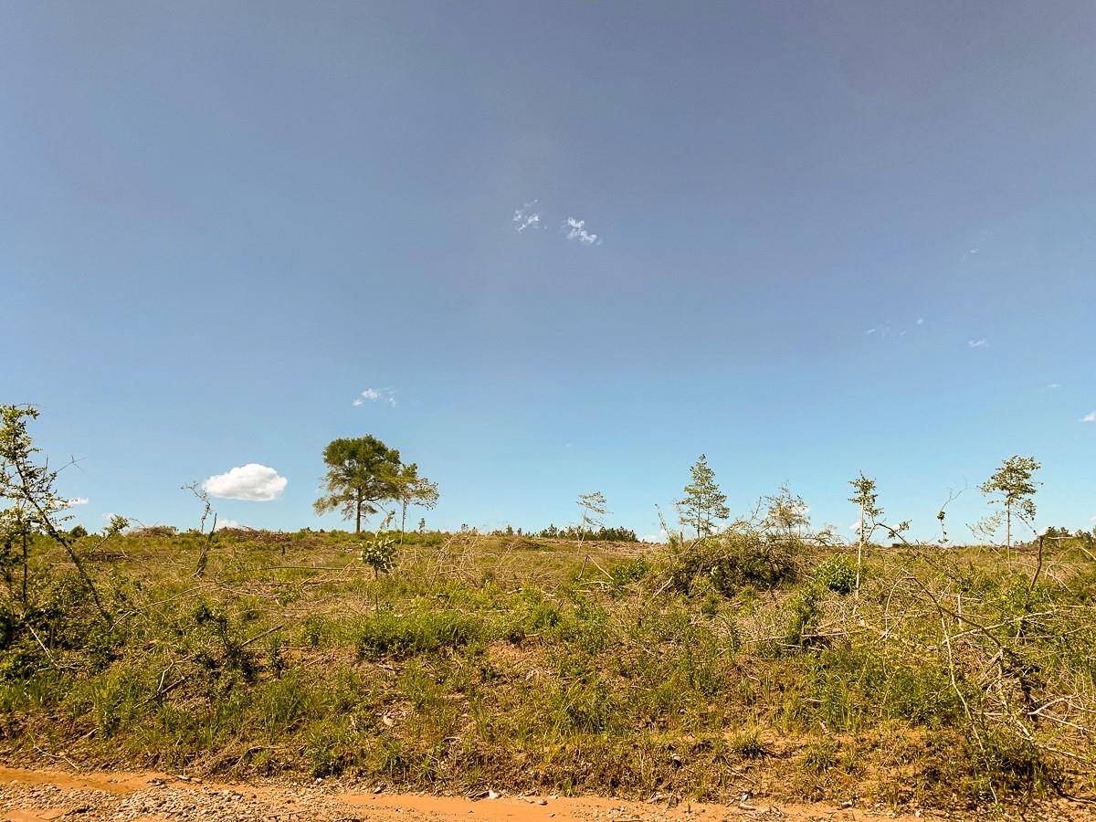 Colmesneil, TX 75938,00000 CR 3910