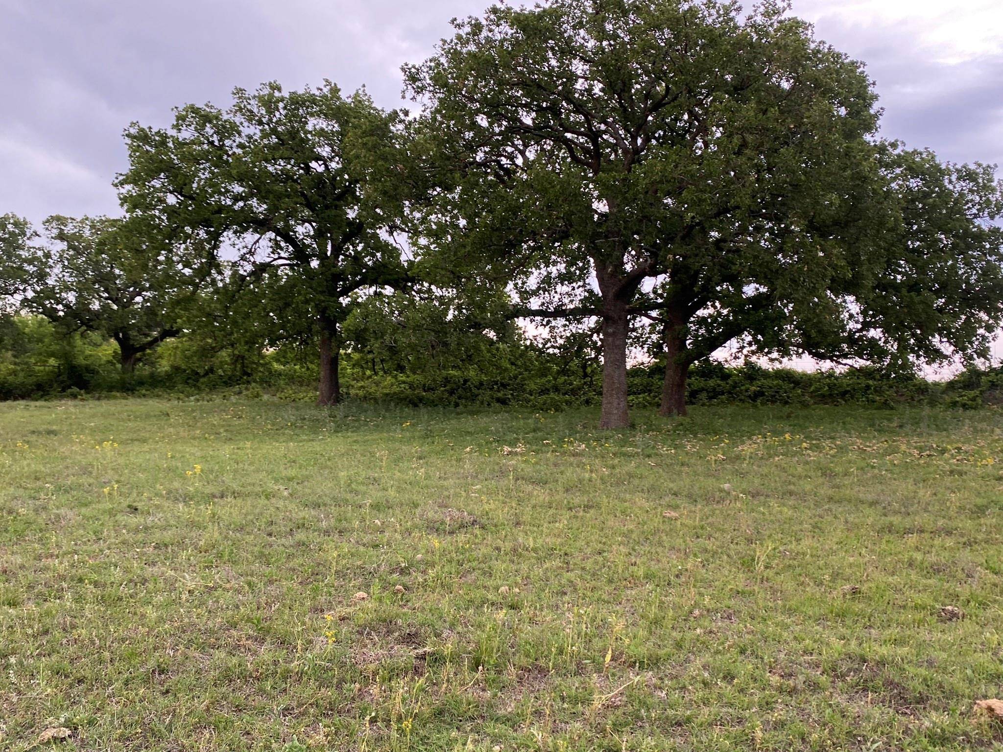 Gorman, TX 76454,10+- Ac TBD County Road 327