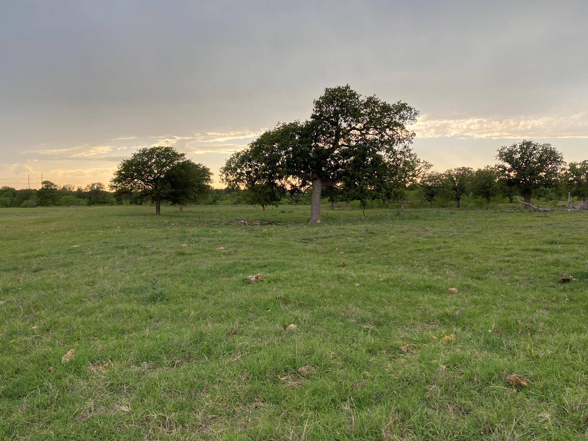 Gorman, TX 76454,10+- Ac TBD County Road 327