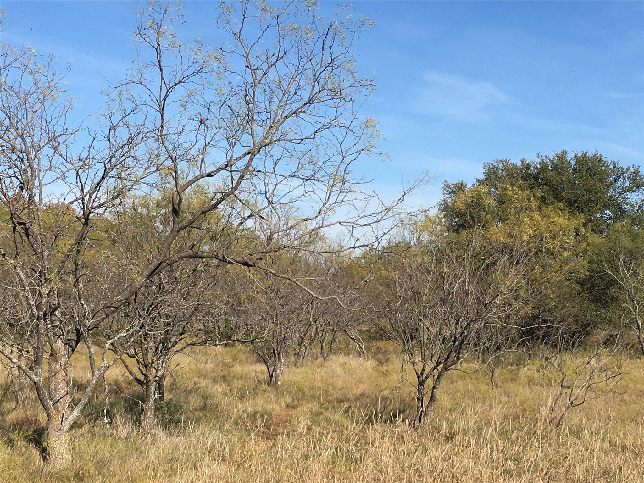 Rising Star, TX 76471,TBD County Road 428