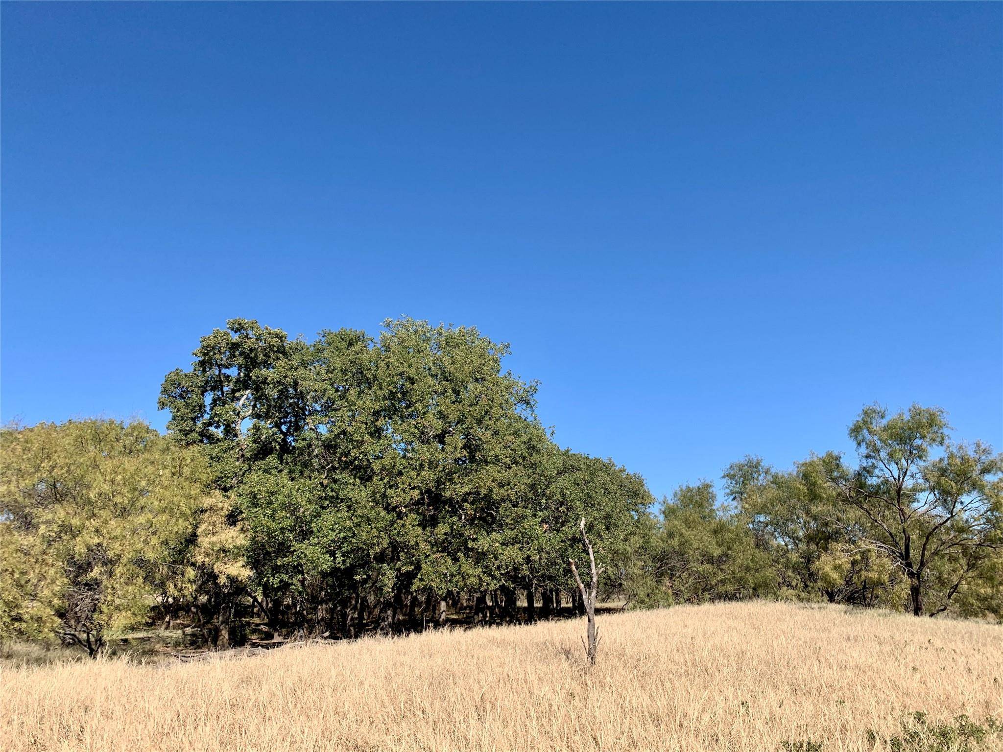 Rising Star, TX 76471,TBD County Road 428