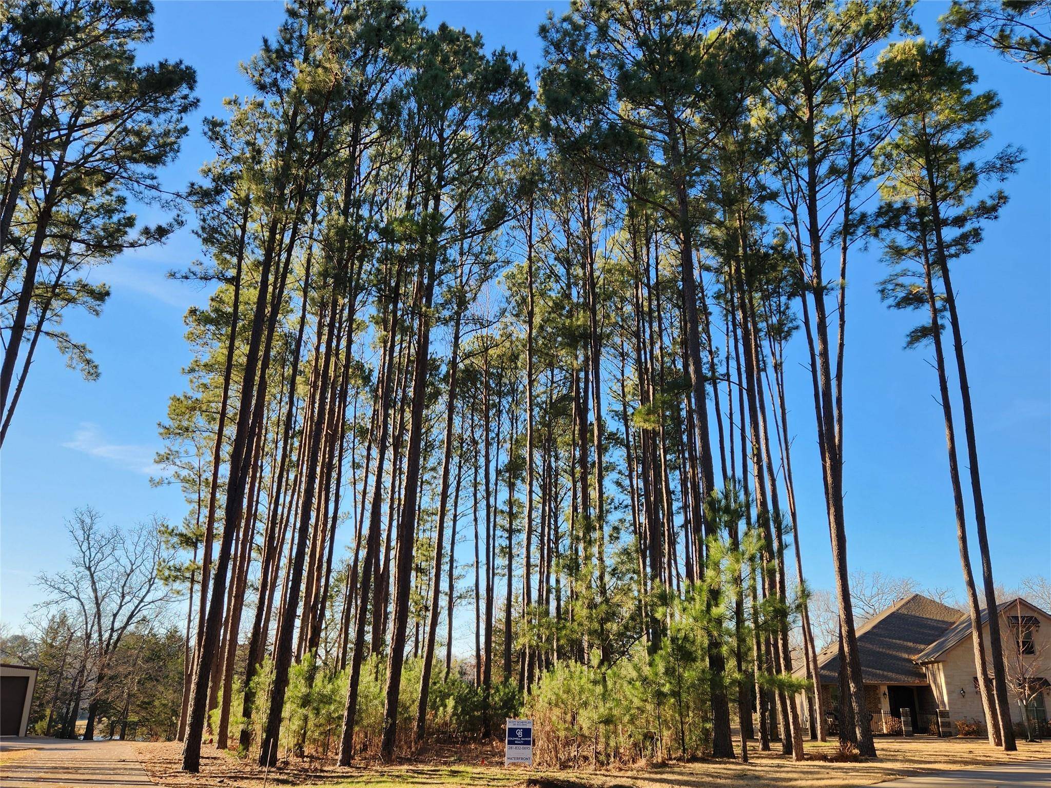 Larue, TX 75770,Lot 73 Pine Grove Court