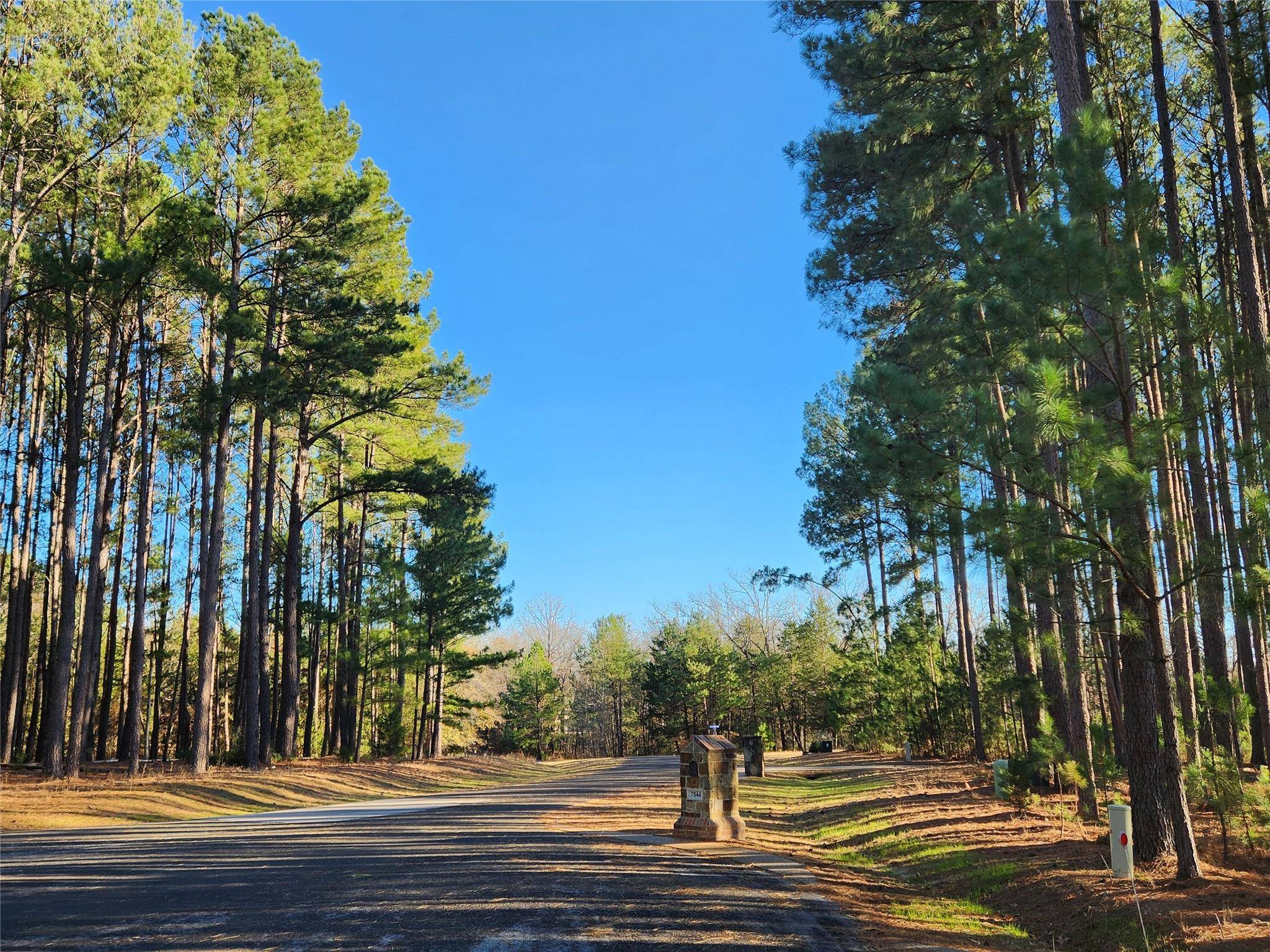 Larue, TX 75770,Lot 73 Pine Grove Court