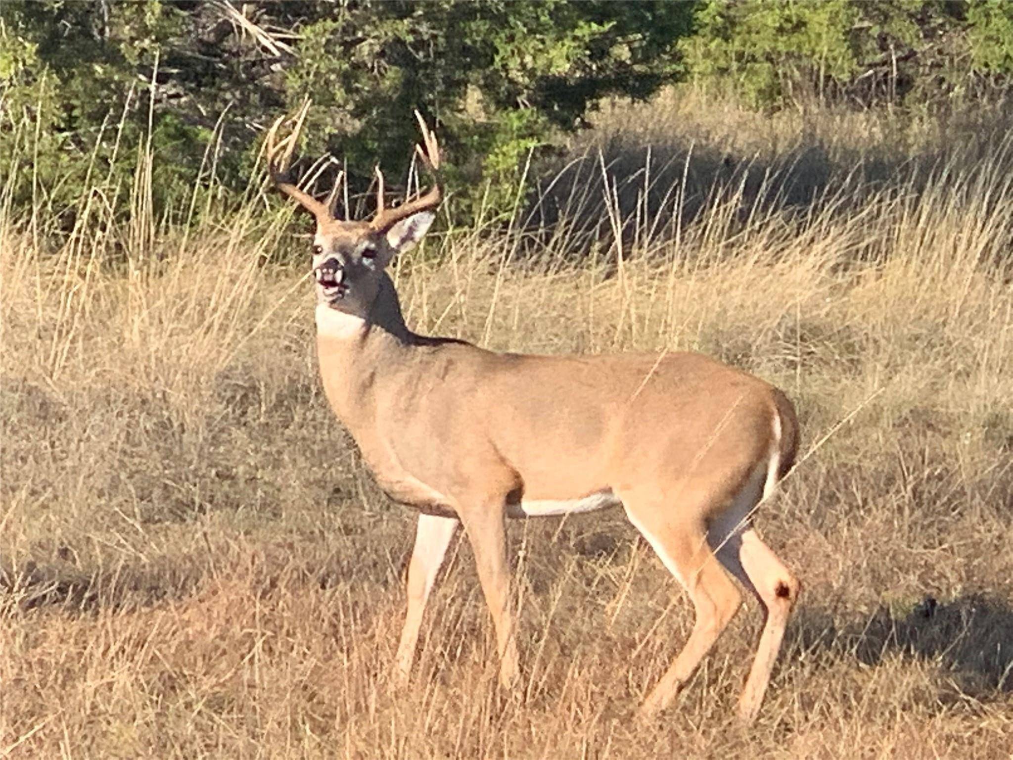 Strawn, TX 76475,7048 W Hells Gate Drive