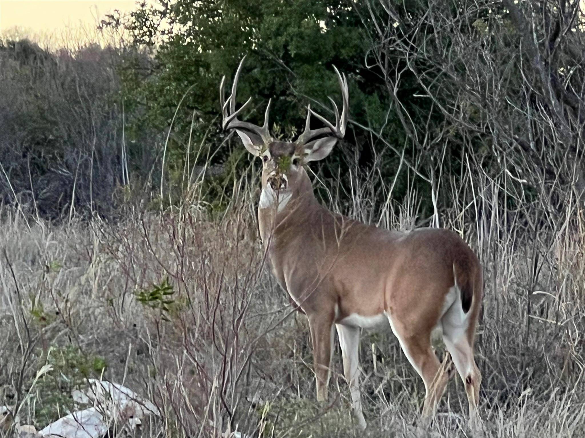 Strawn, TX 76475,7048 W Hells Gate Drive