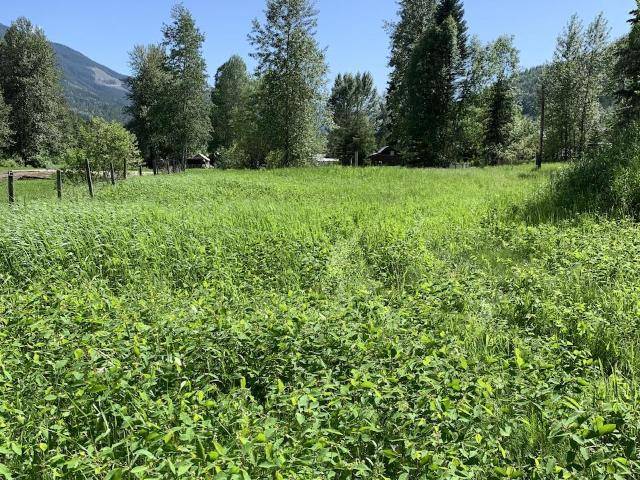 6381 AVOLA VILLAGE ROAD, Blue River, BC V0E 1C0