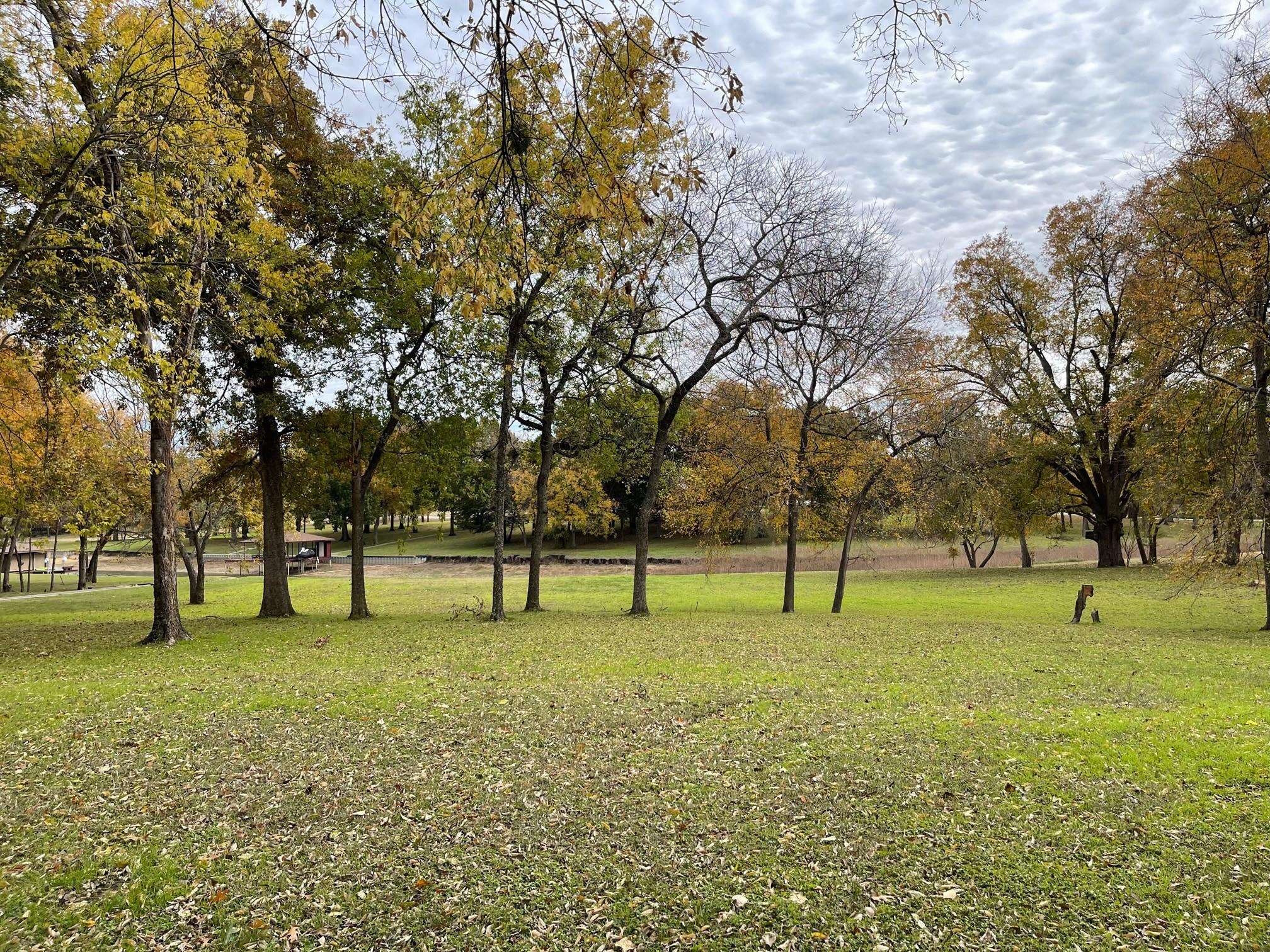 Corsicana, TX 75109,Lot 4 Starcrest Drive