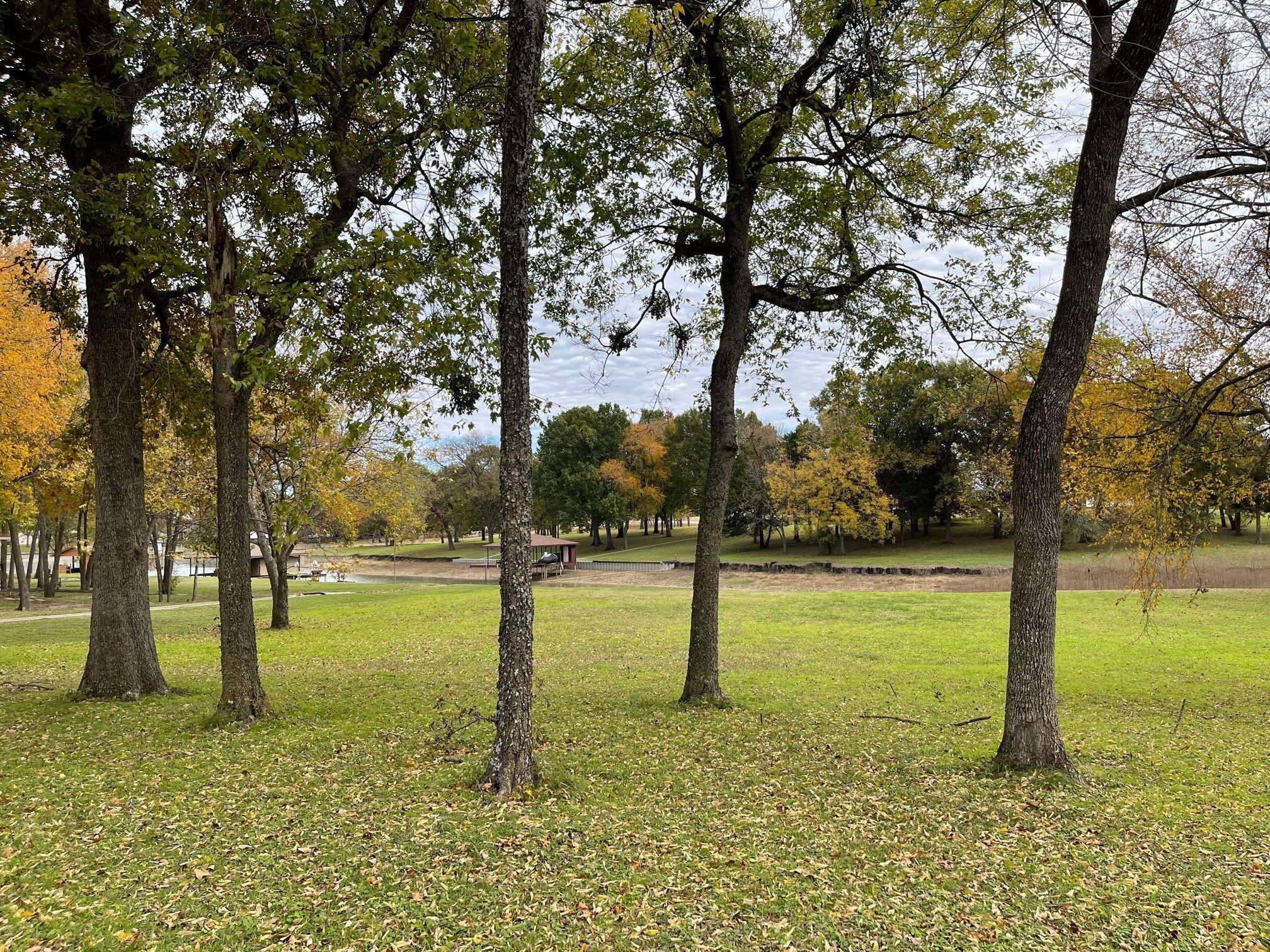 Corsicana, TX 75109,Lot 4 Starcrest Drive