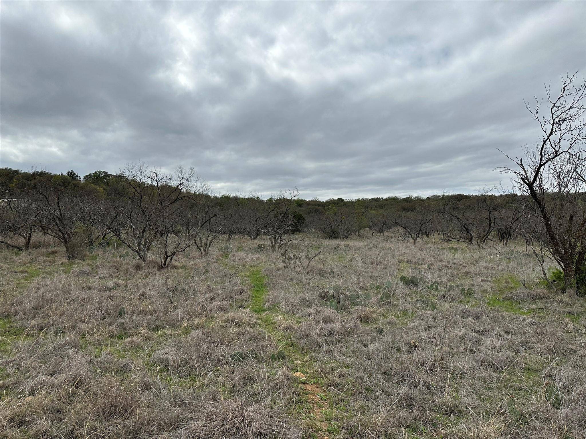 Brownwood, TX 76801,8.05 acres Fm 3021