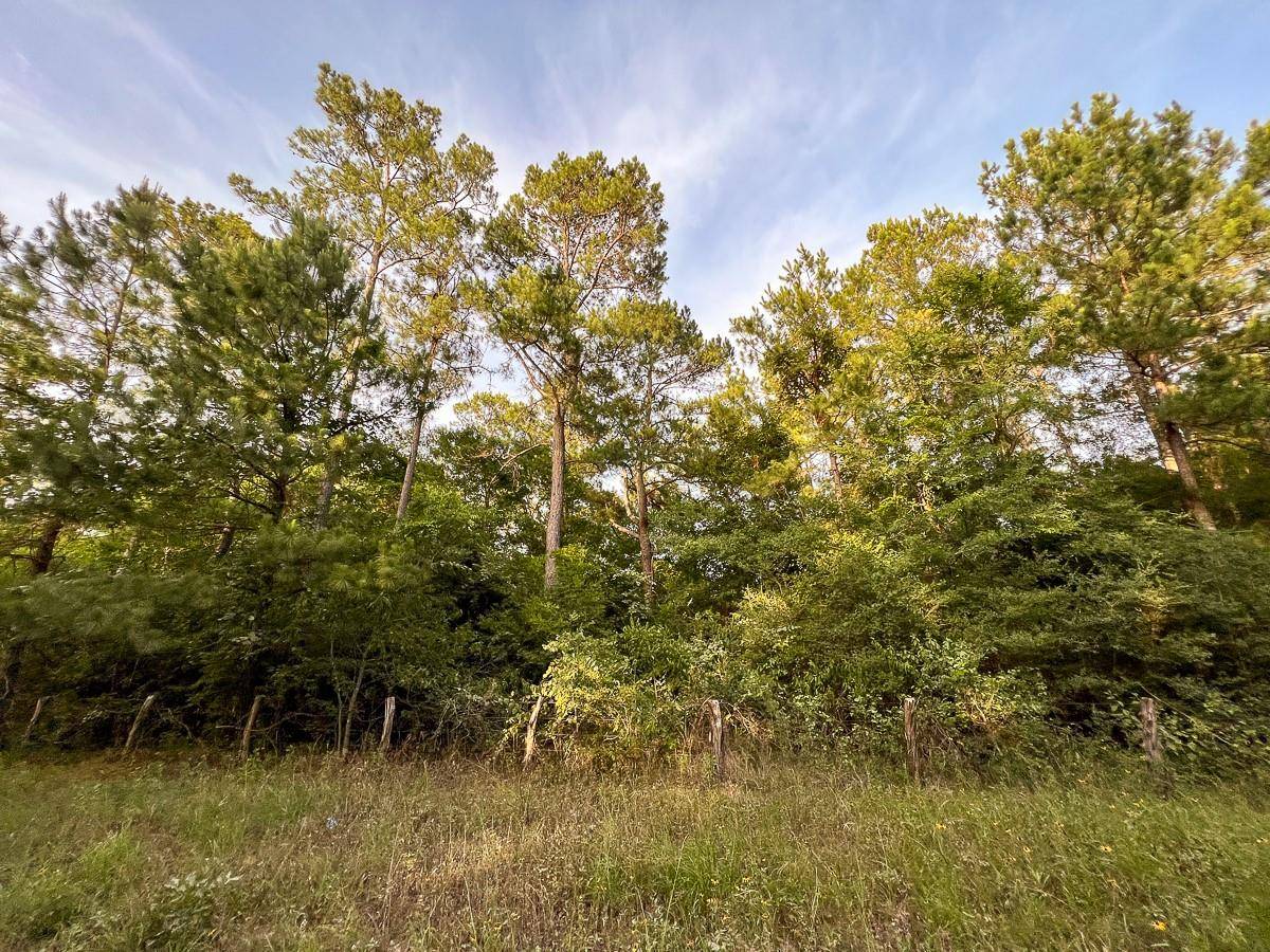 Huntsville, TX 77831,0000 Loma Road