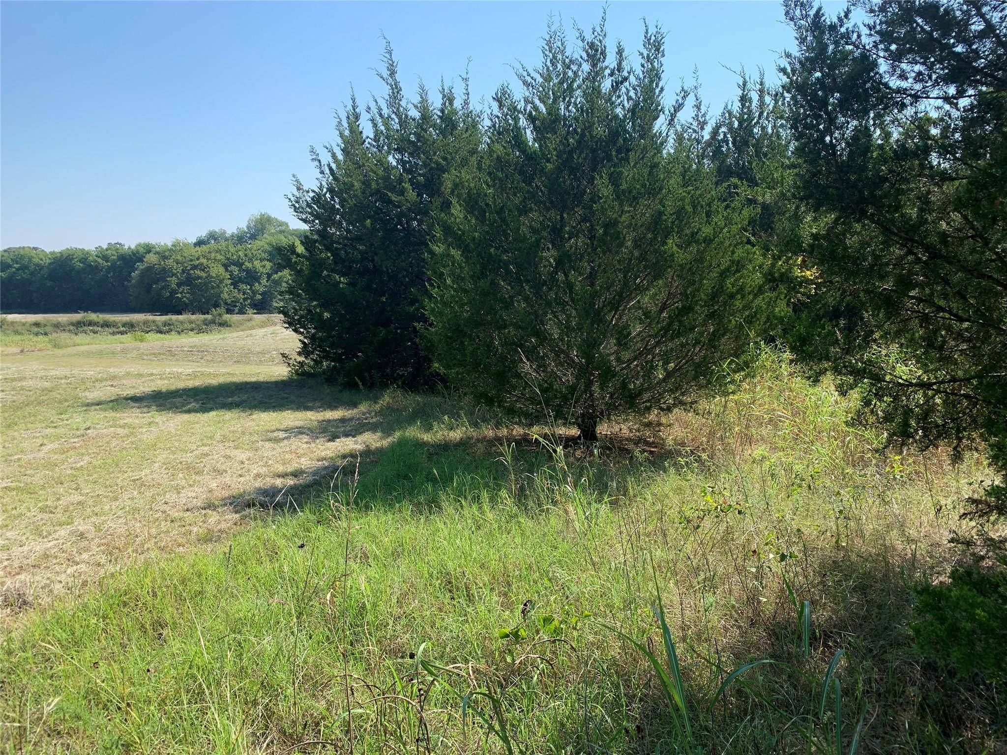 Whitewright, TX 75491,TBD Blanton Hill Road