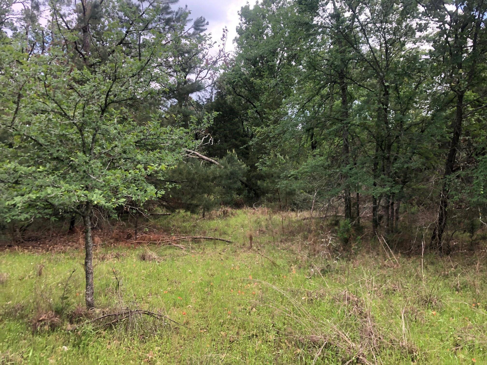 Oakwood, TX 75855,TBD FCR 243