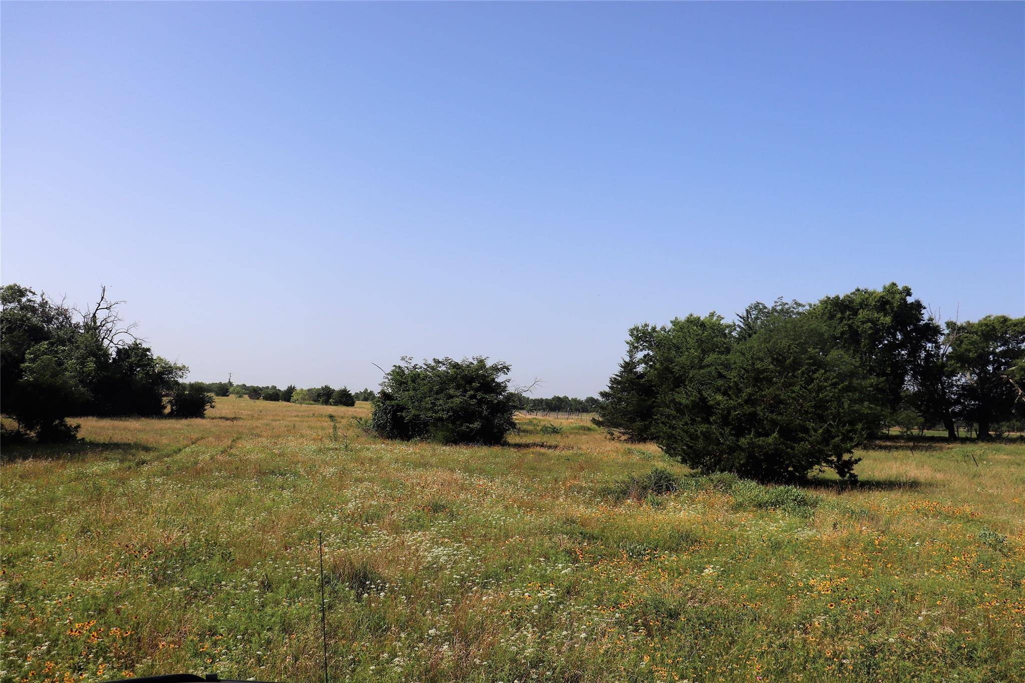 Celeste, TX 75423,29 ac CR 1019