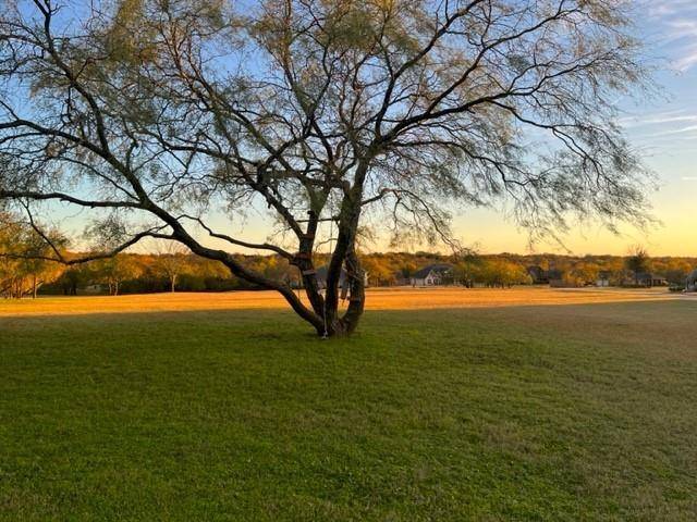 Gunter, TX 75058,TBD Whispering Winds Drive