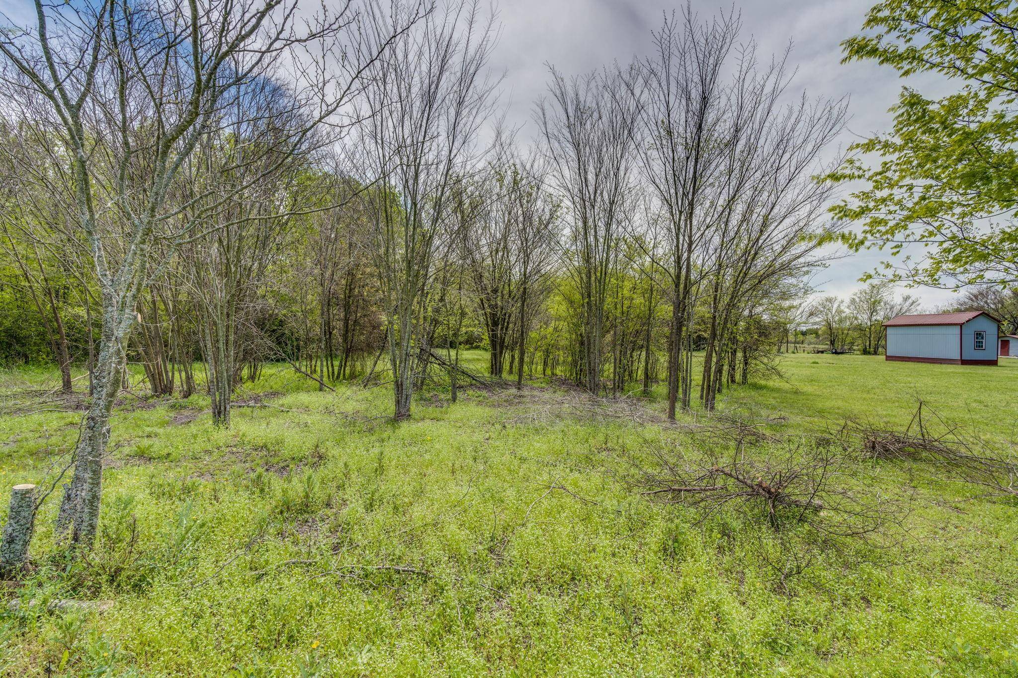 Teague, TX 75860,TBD Lot 6 Waco Street