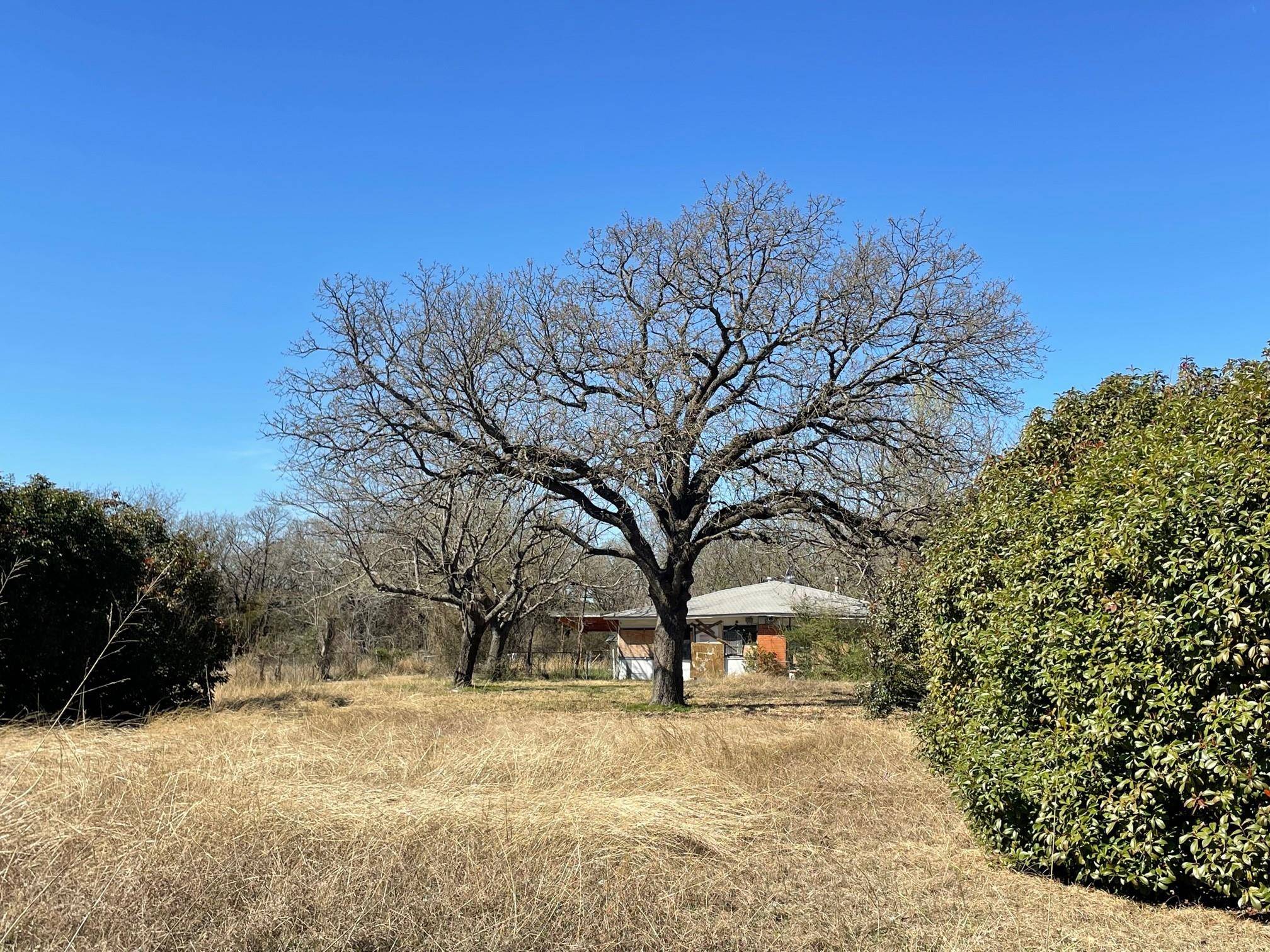 Balch Springs, TX 75180,2417 Hickory Tree Road