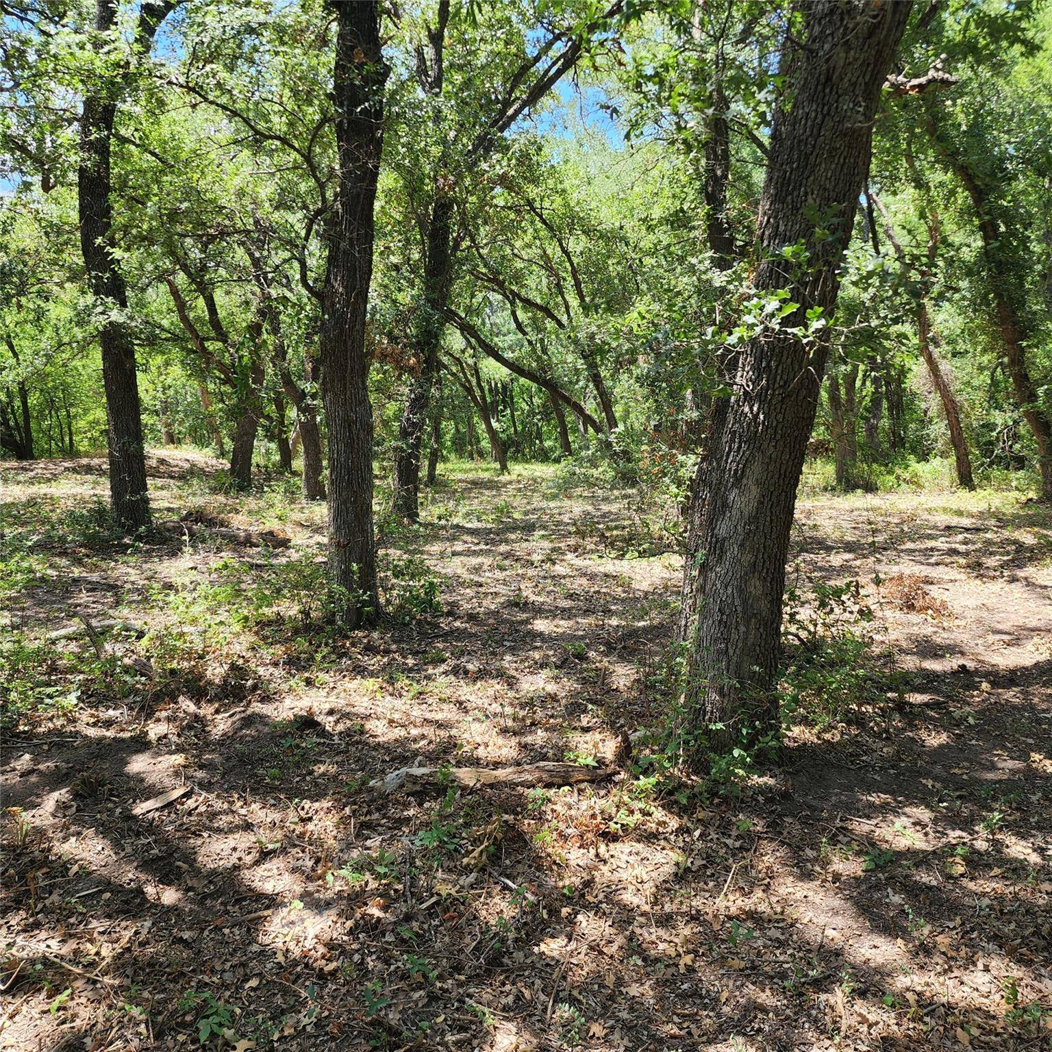 Hubbard, TX 76648,154 Private Road 337 #3369