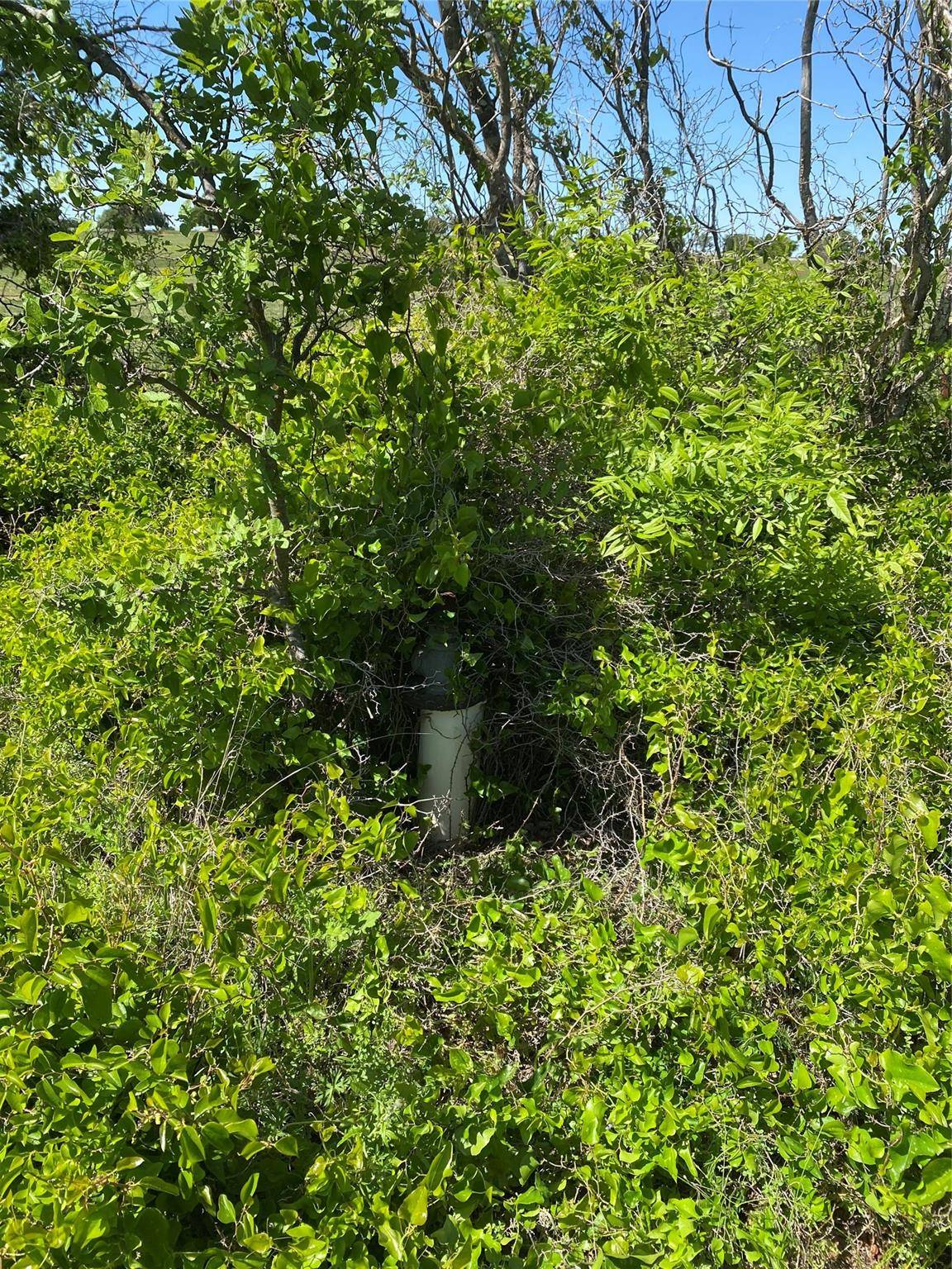 Rising Star, TX 76471,TBD Tract 1 County Road 494