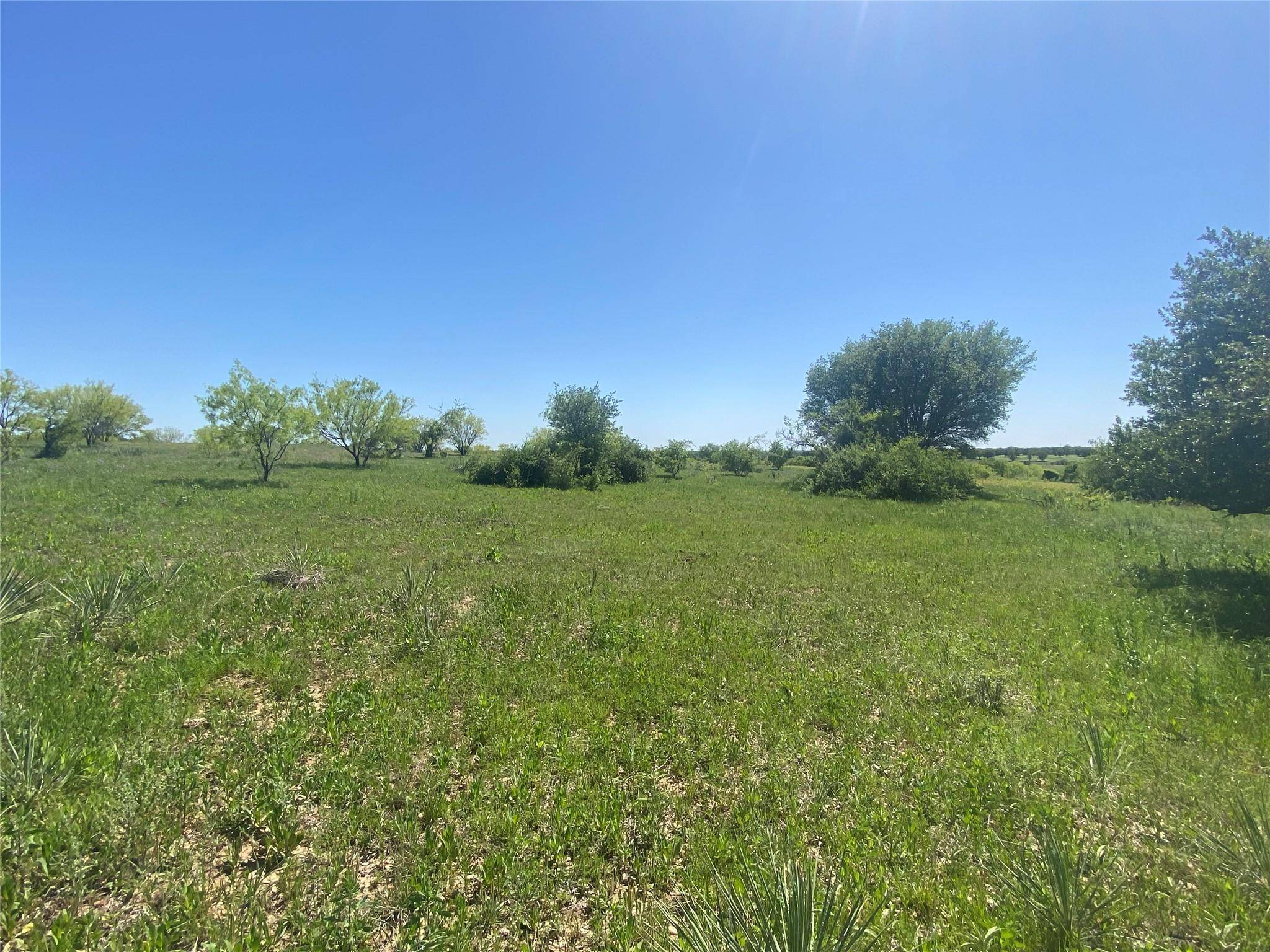 Rising Star, TX 76471,TBD Tract 1 County Road 494