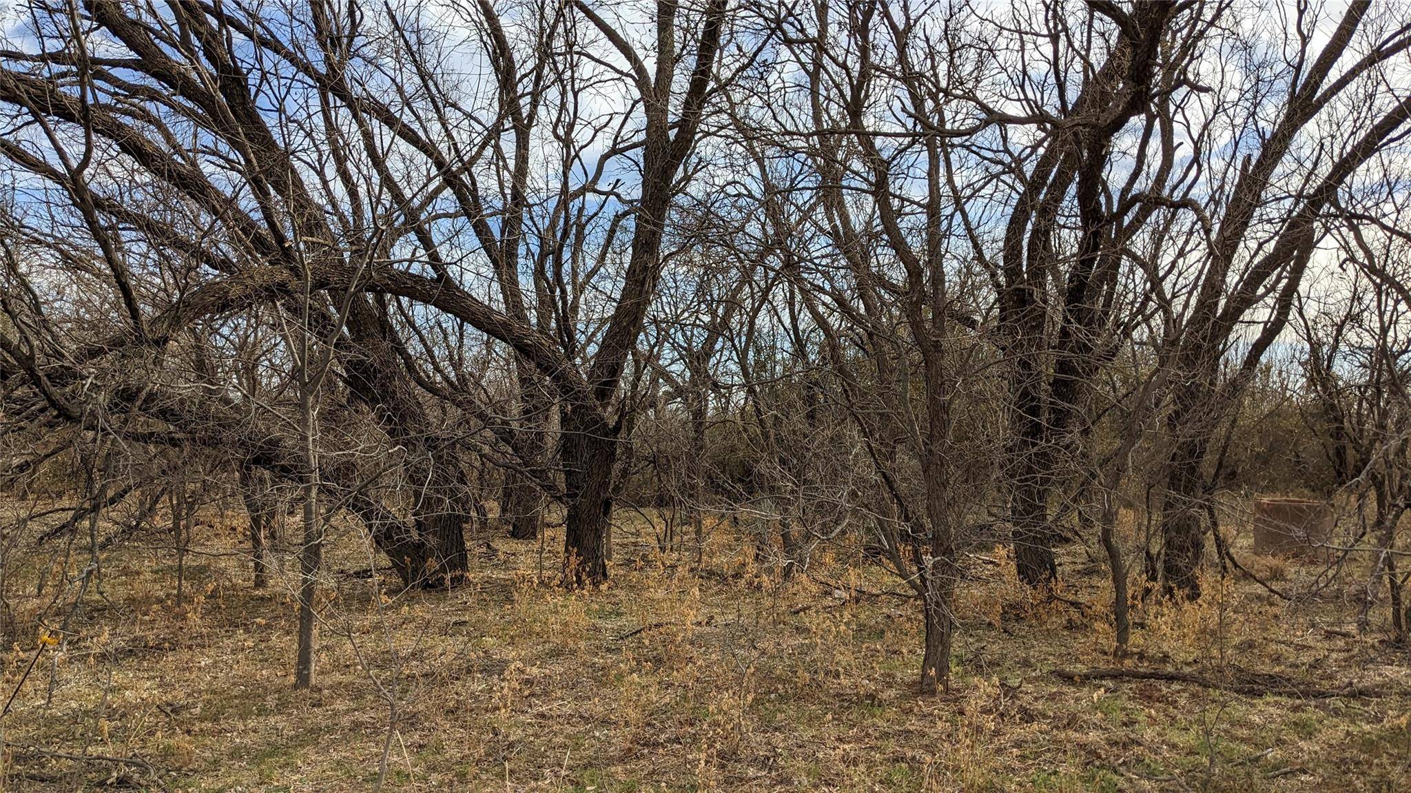 Abilene, TX 79601,15+/- Ac (Tr 1) FM 1082