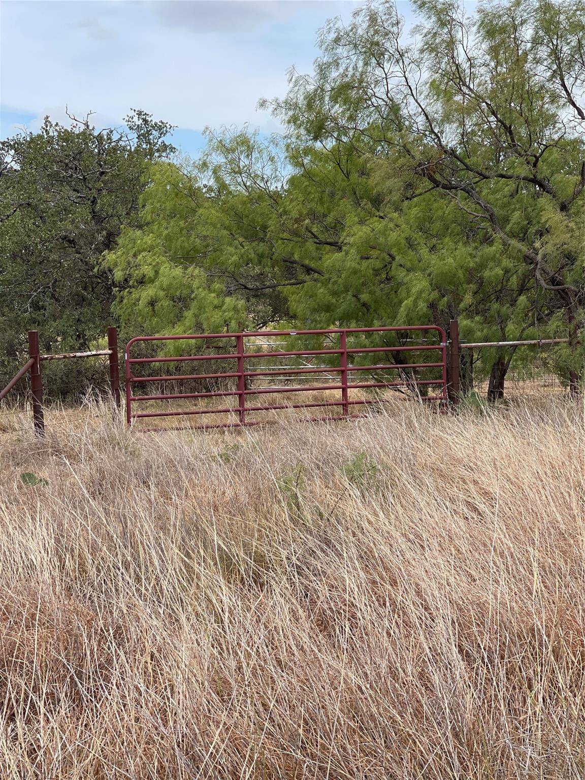 Cisco, TX 76437,TBD County Road 156 County Road 156