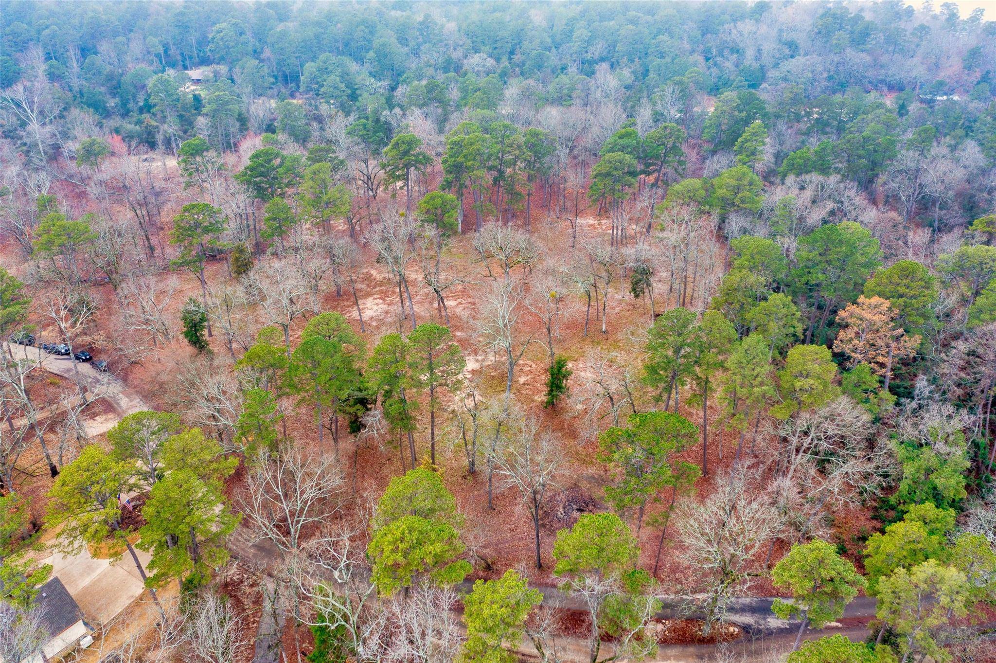 Scroggins, TX 75480,Lot 39 W Eldorado