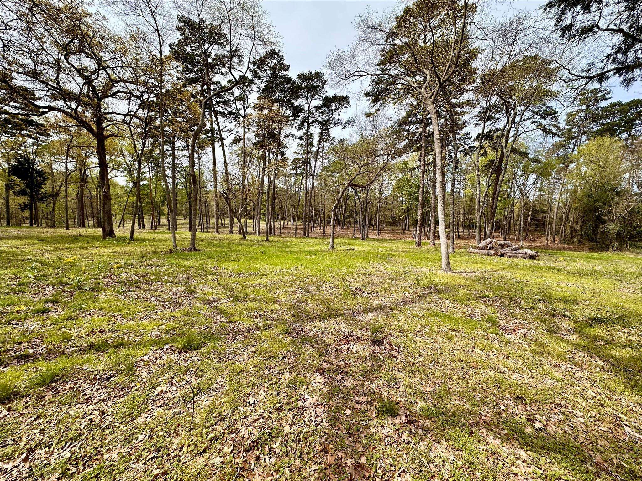 Scroggins, TX 75480,Lot 39 W Eldorado