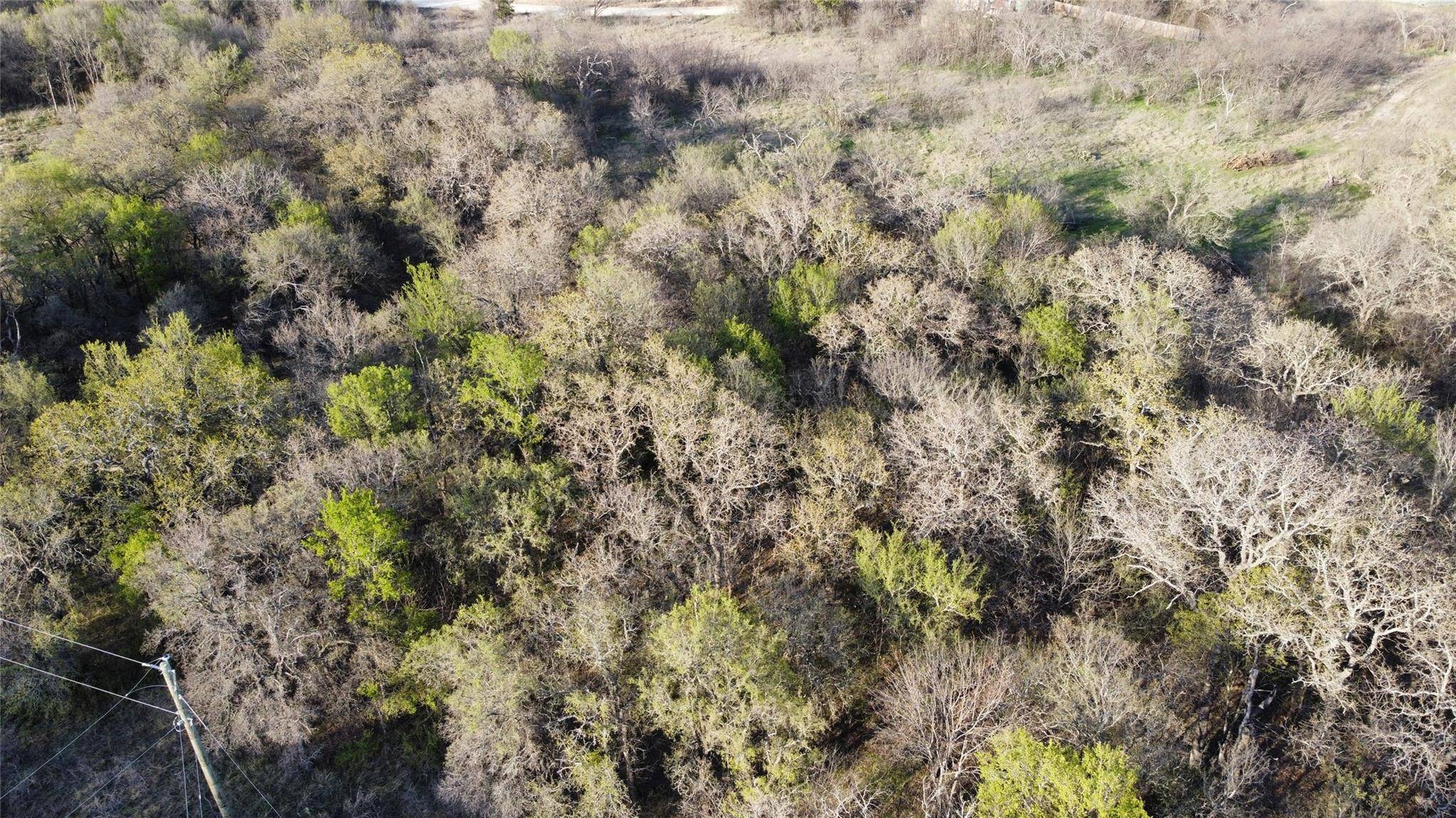 Runaway Bay, TX 76426,Lot 12 TBD Shady Springs Drive