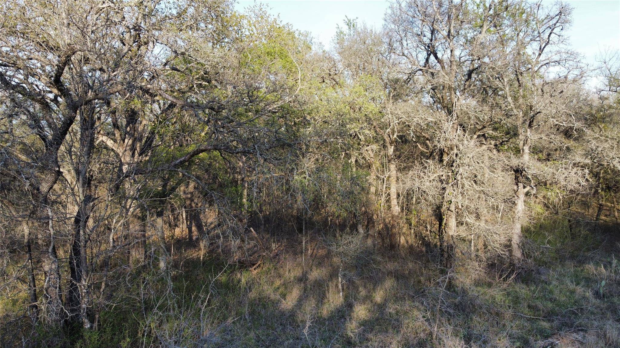 Runaway Bay, TX 76426,Lot 12 TBD Shady Springs Drive