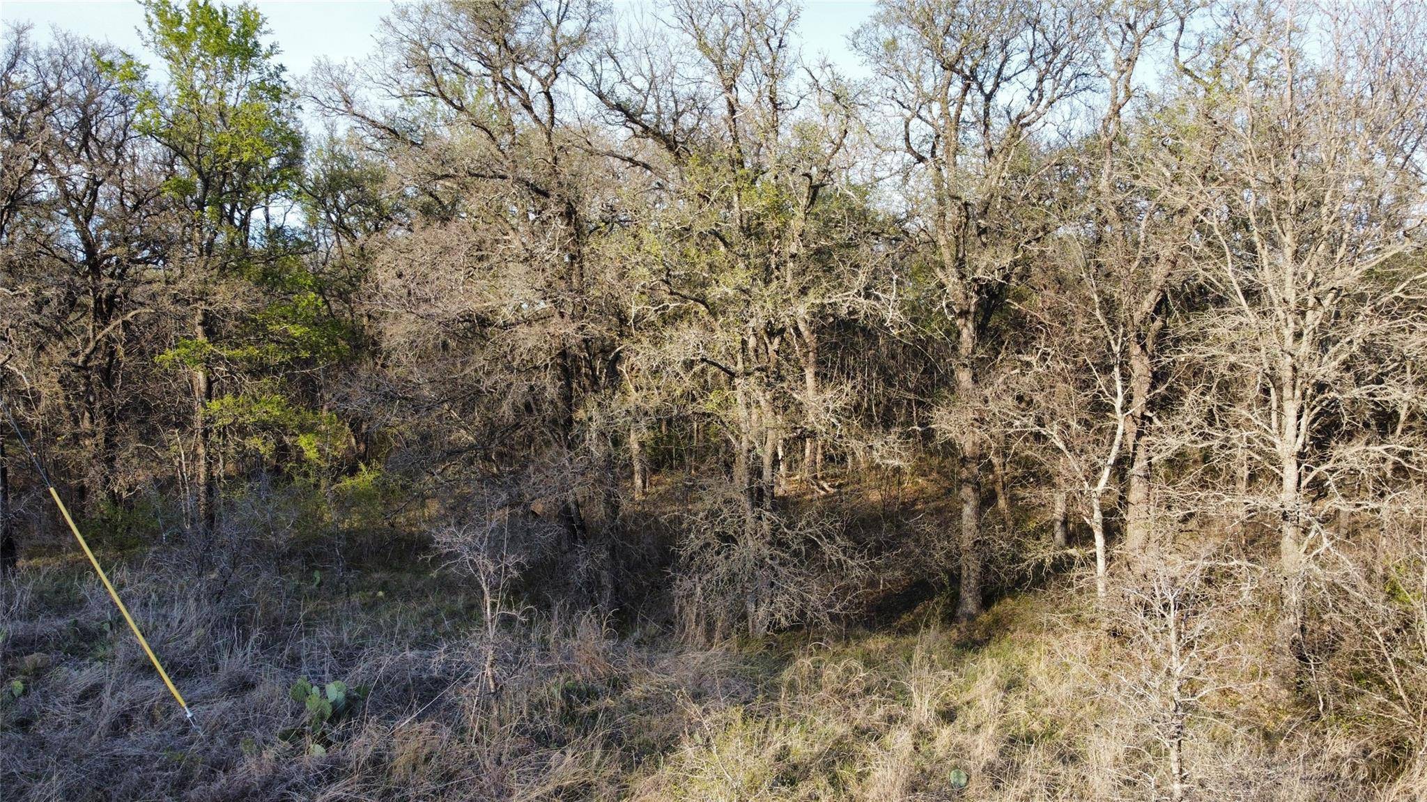 Runaway Bay, TX 76426,Lot 12 TBD Shady Springs Drive