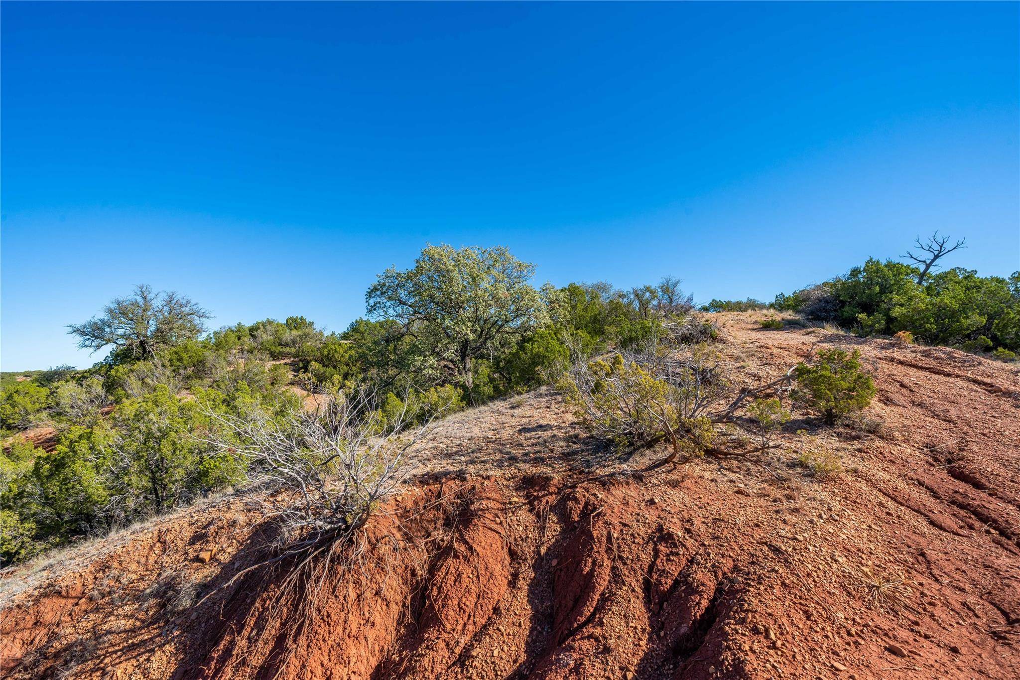 Tuscola, TX 79562,TBD County Road 280