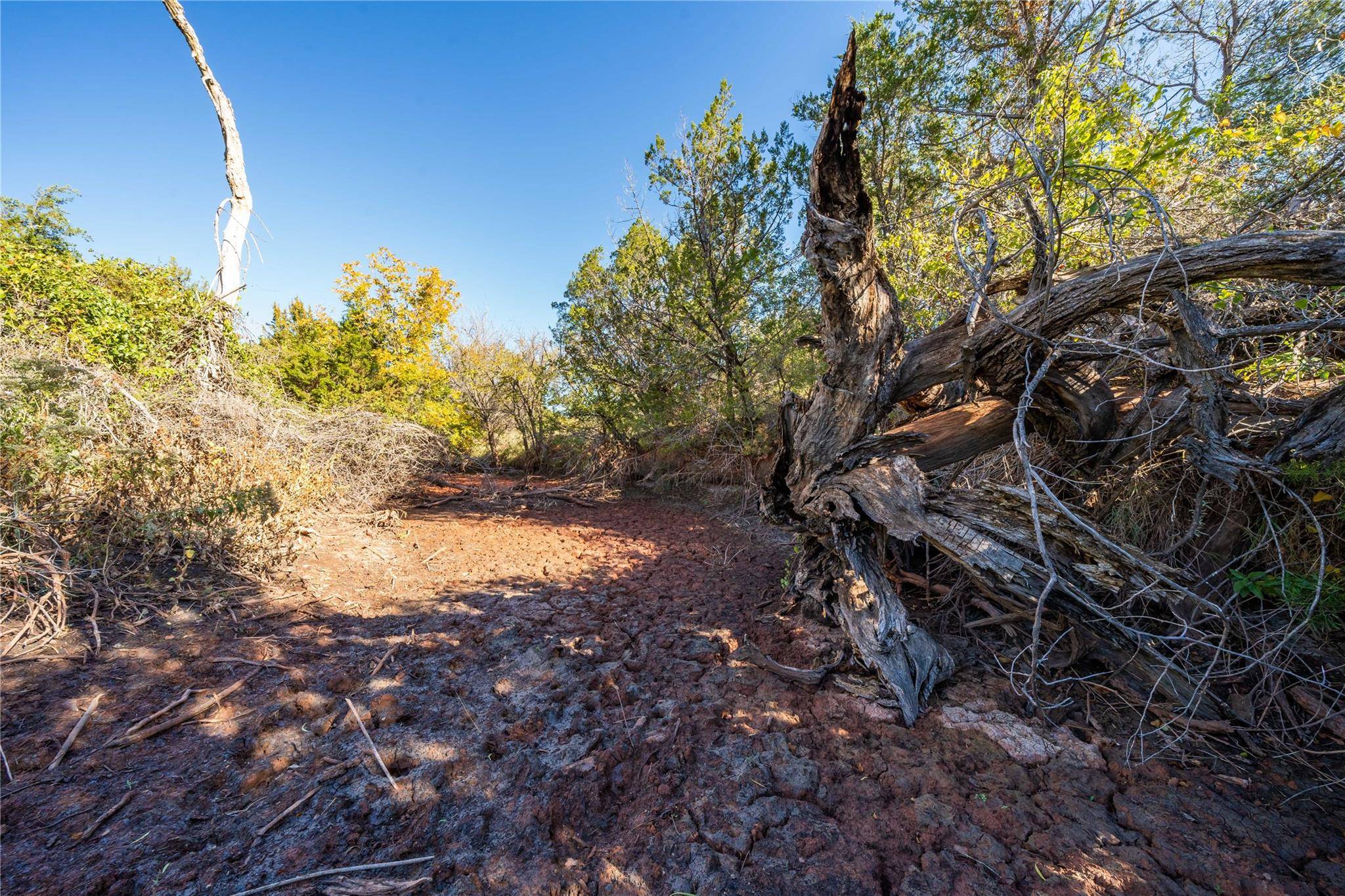 Tuscola, TX 79562,TBD County Road 280