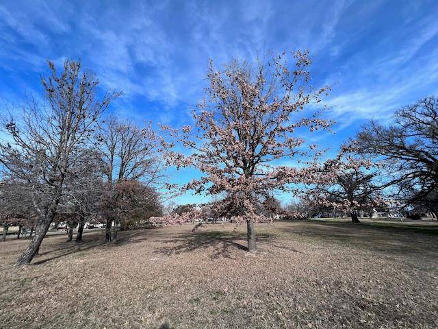 Corsicana, TX 75109,Lot 1 SE County Road 3186