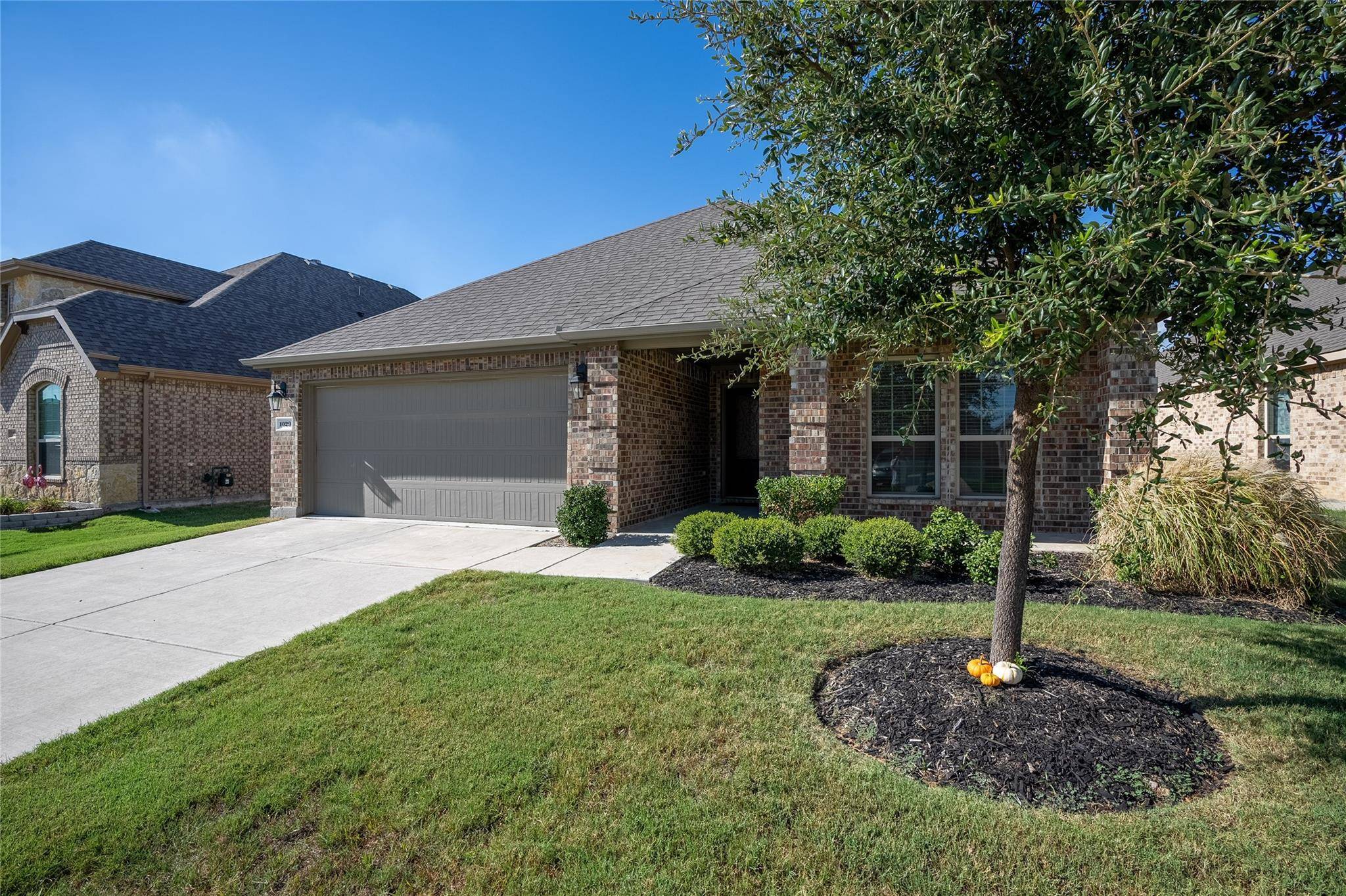 Little Elm, TX 75068,1029 Lake Cypress Lane