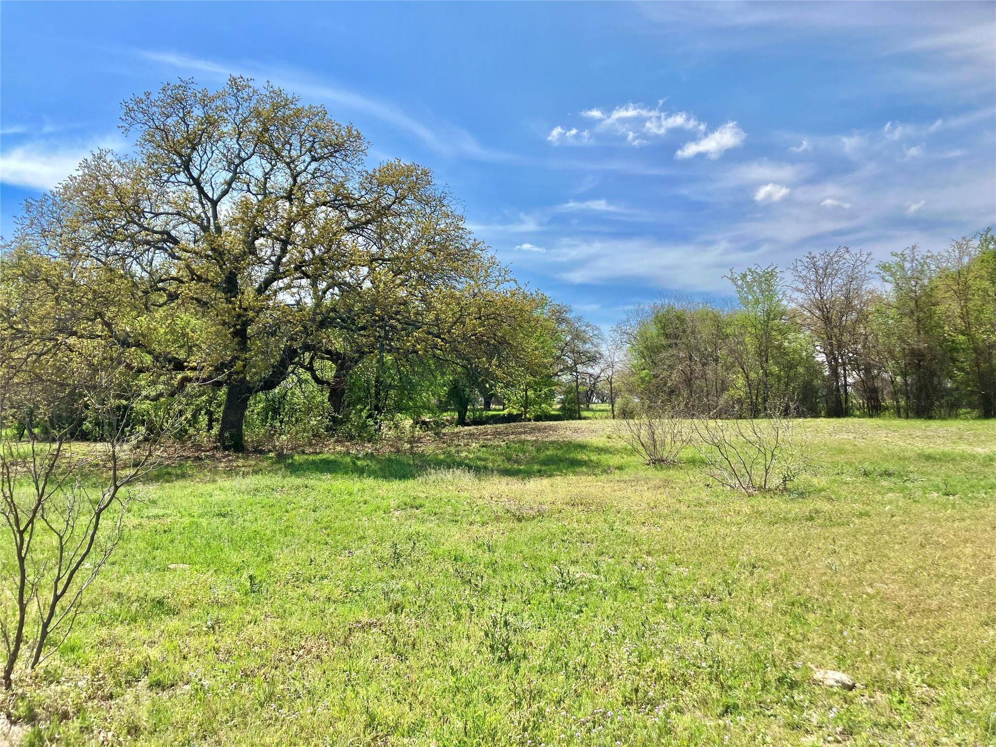 De Leon, TX 76444,TBD County Rd 448