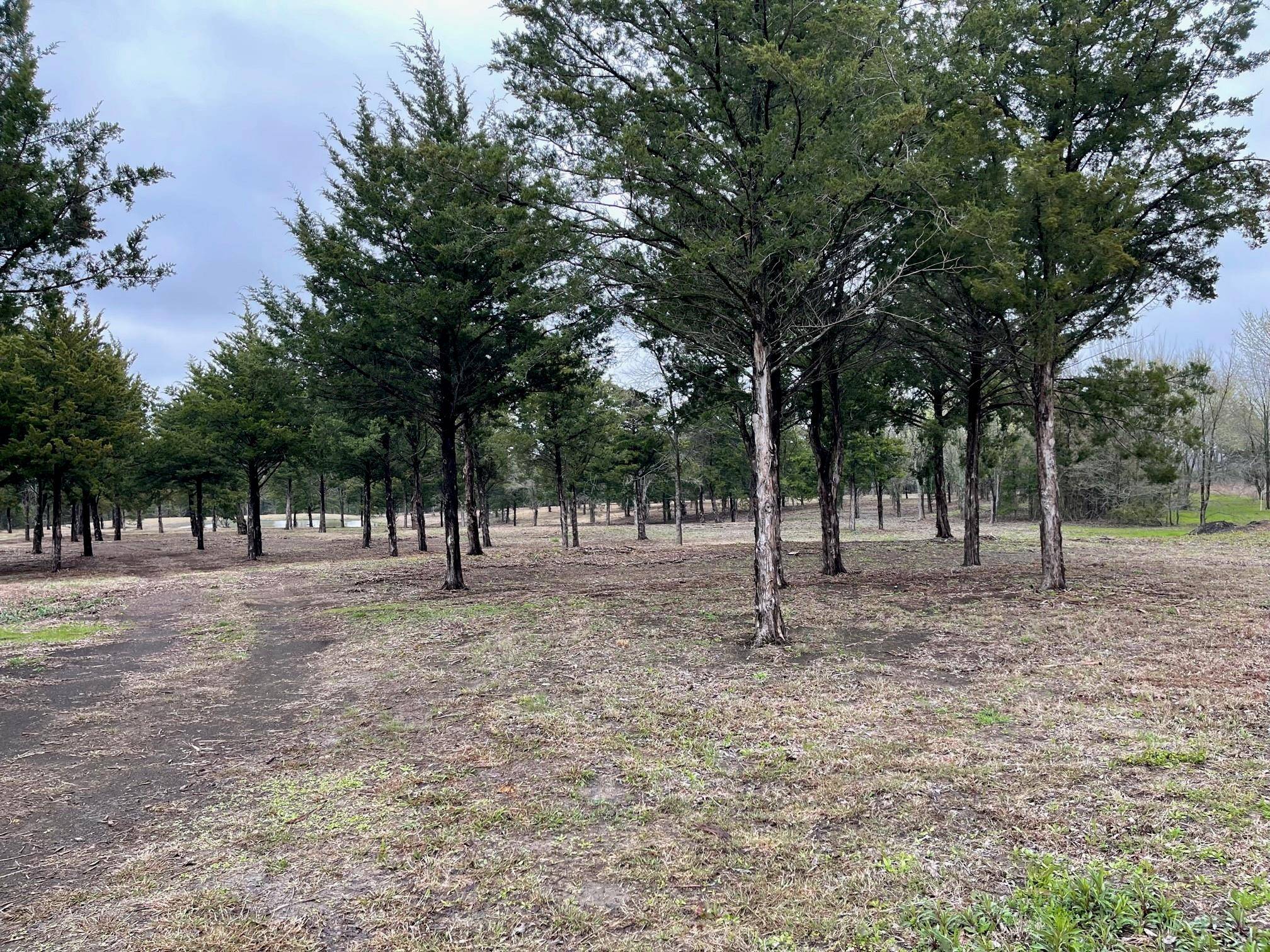 Howe, TX 75459,0000 Bennett Road