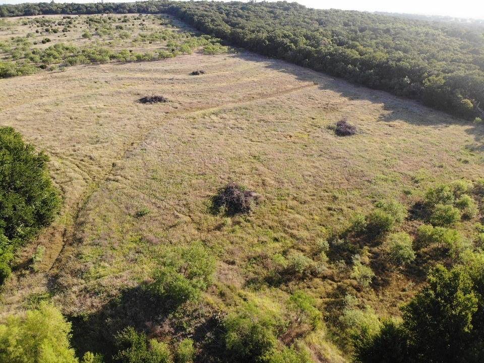 Desdemona, TX 76445,Tract 26 CR 493