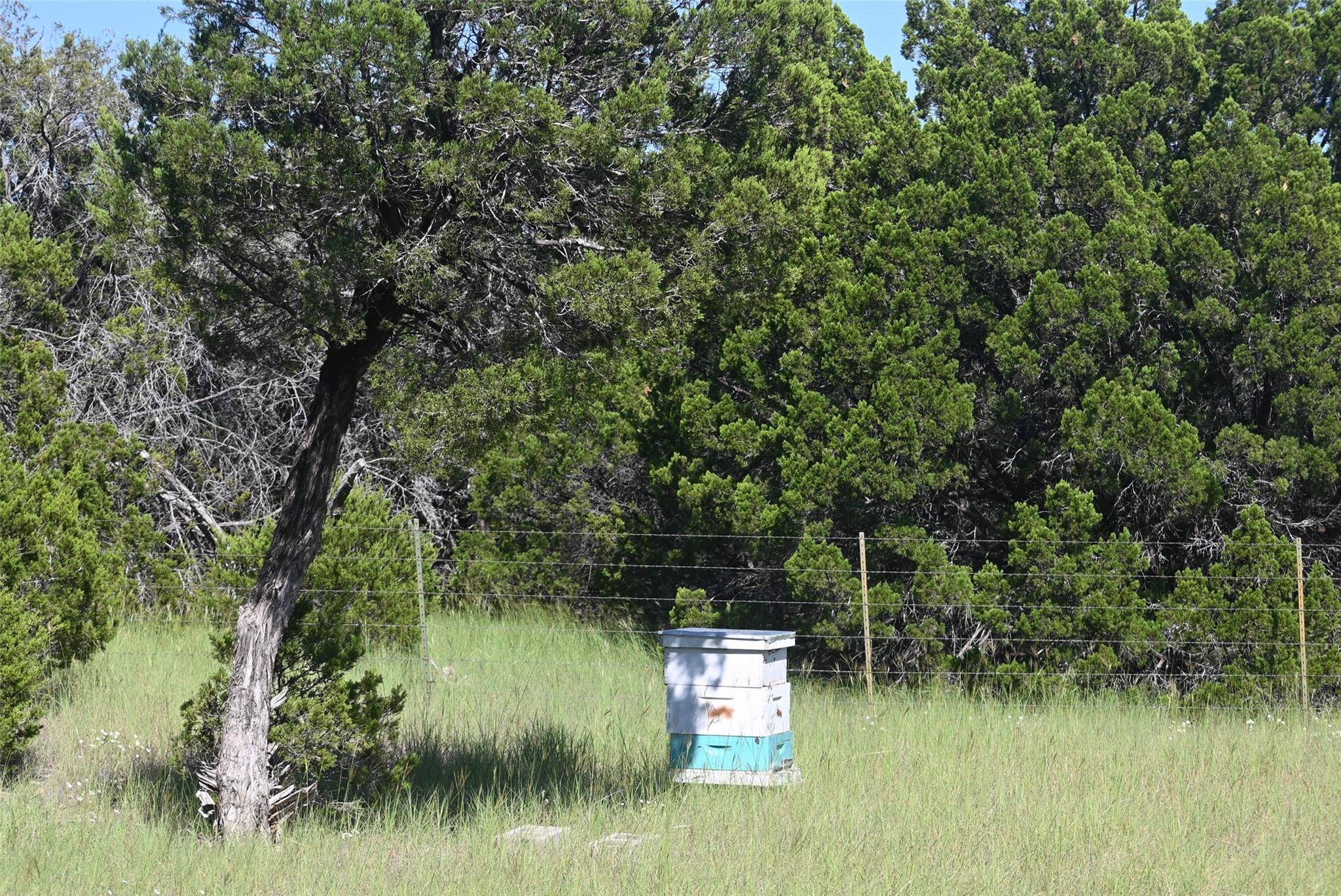 Cranfills Gap, TX 76637,167 County Road 4146