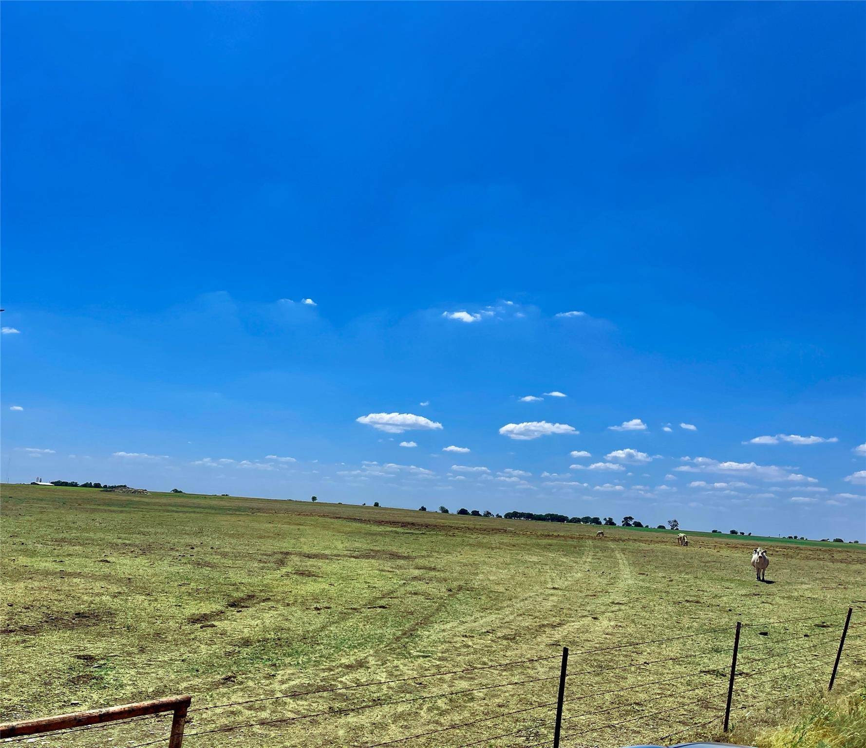 Muenster, TX 76252,TBD CR 342