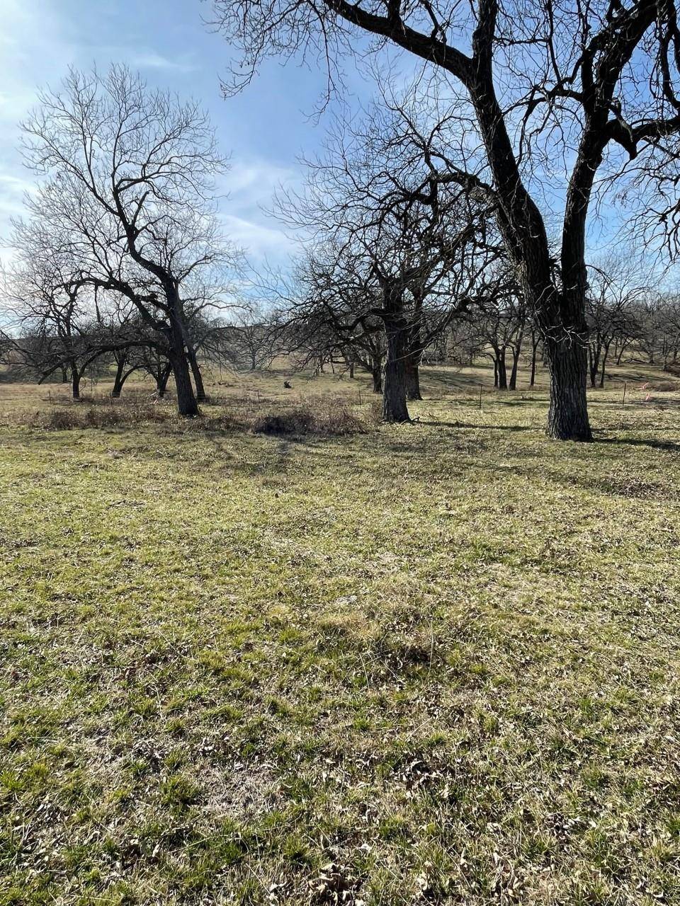 Whitewright, TX 75491,Lot 6 Kentucky Town Road