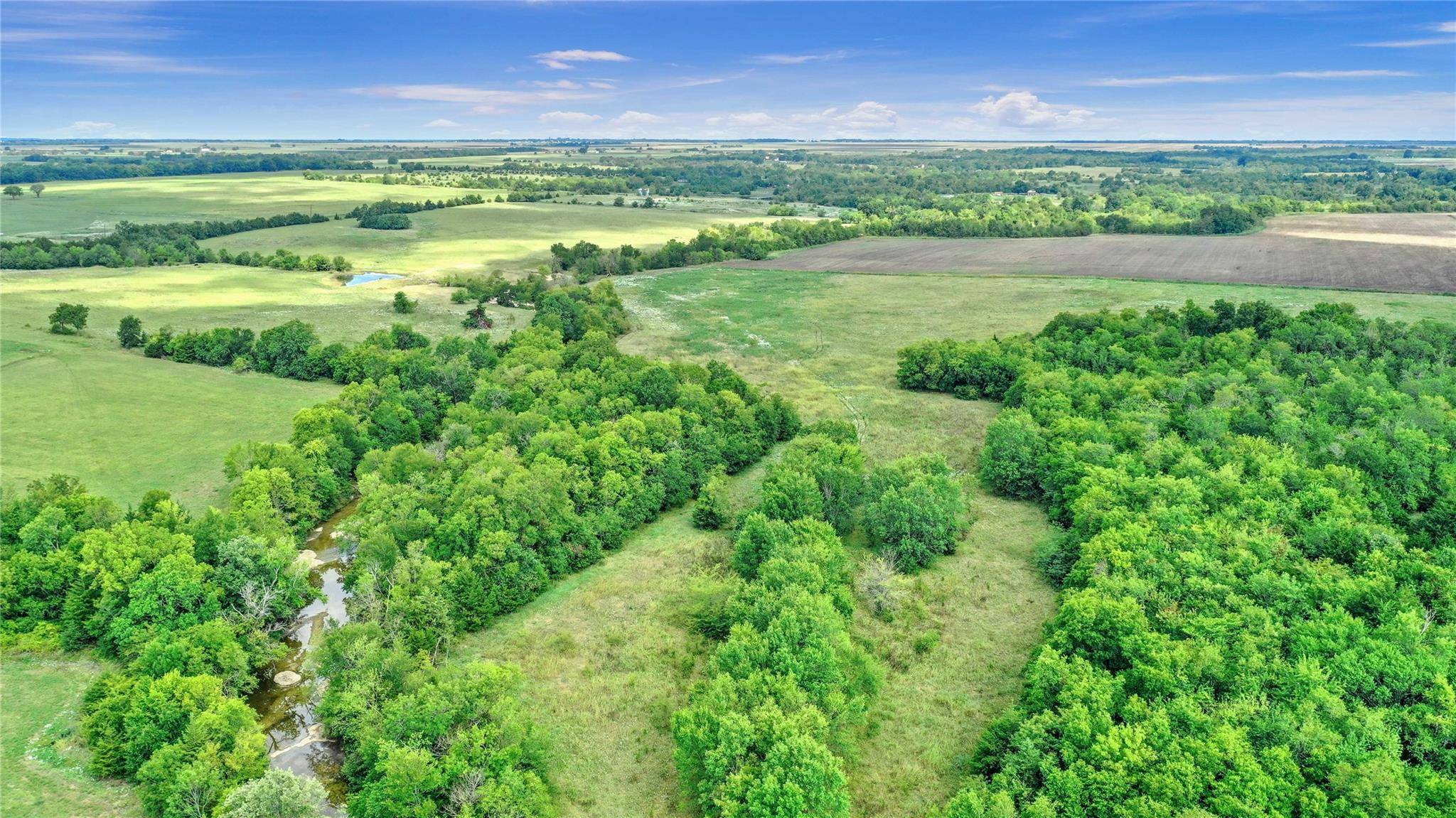 Honey Grove, TX 75446,20 Acres TBD County Rd 3489