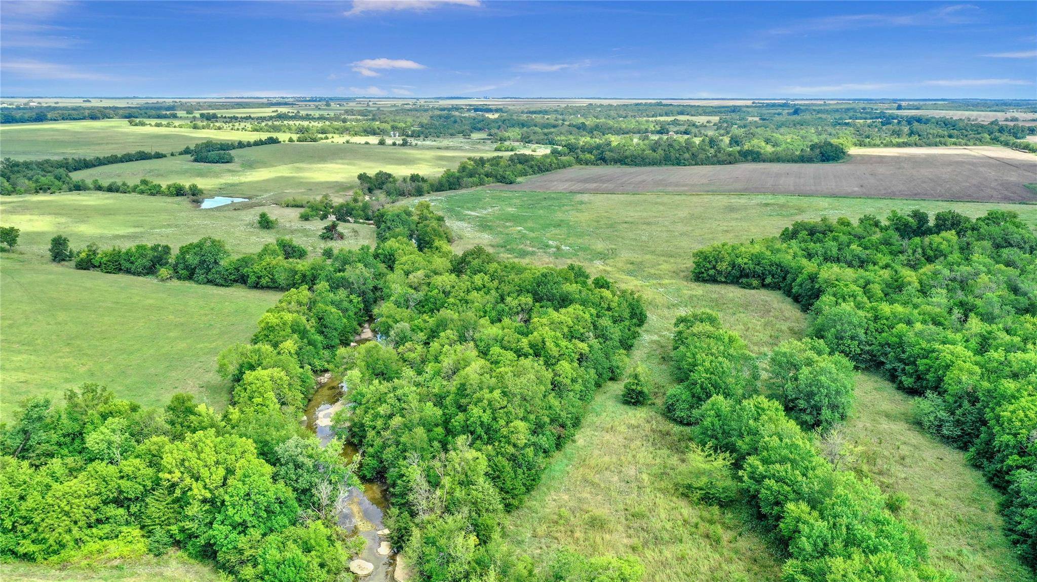 Honey Grove, TX 75446,20 Acres TBD County Rd 3489