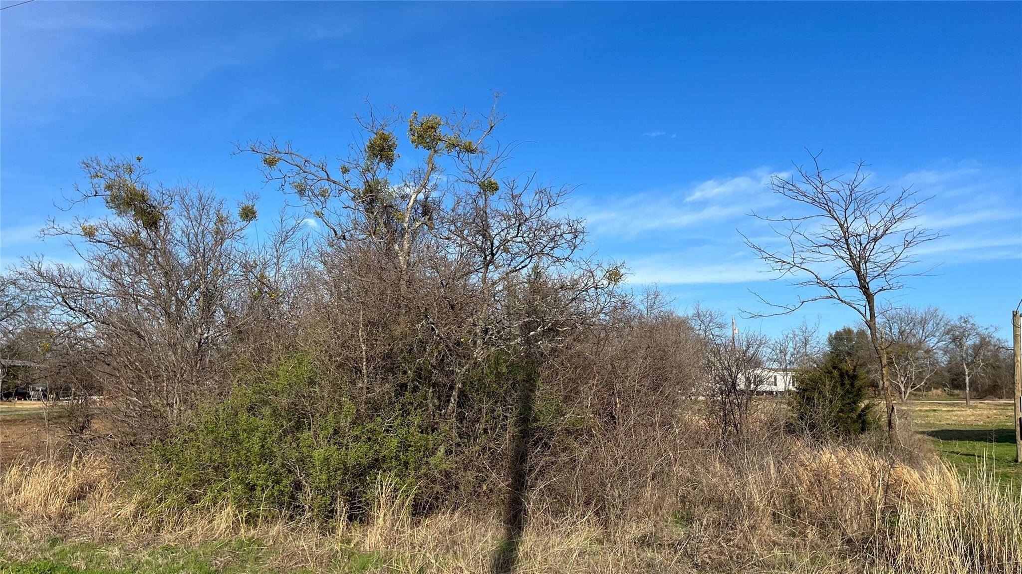 Bridgeport, TX 76426,TBD Lot 5 High Bluff Drive